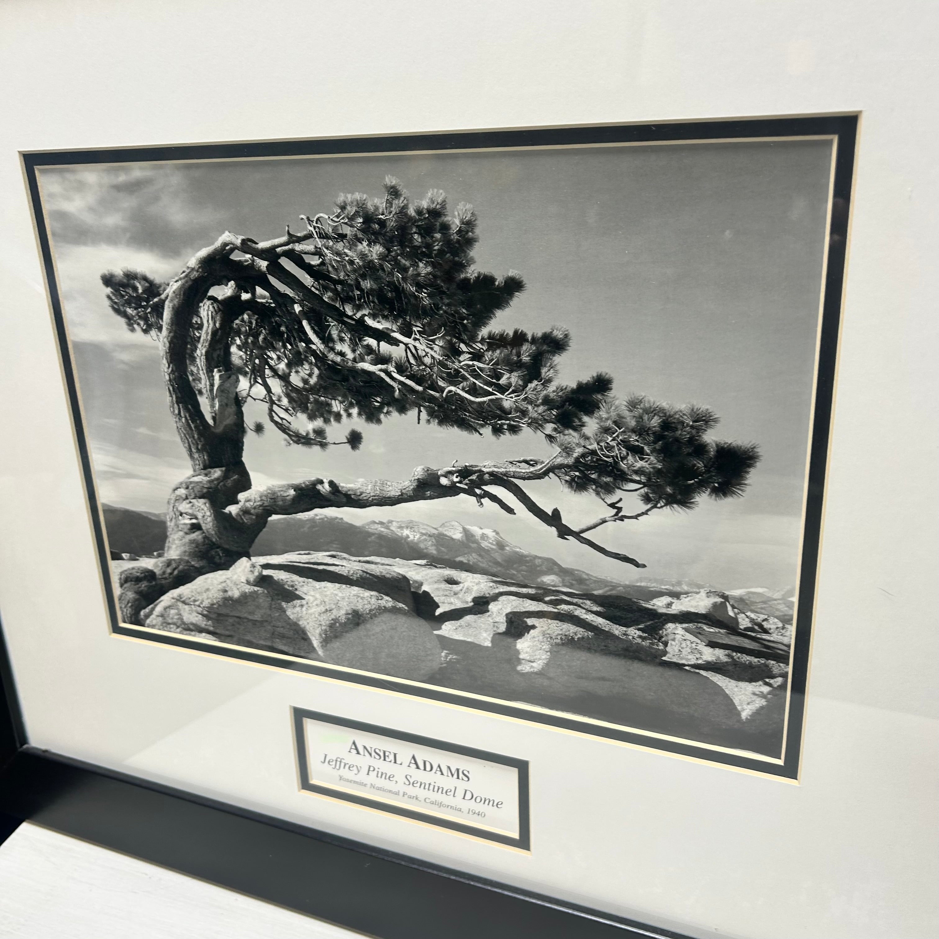 Ansel Adams "Jeffrey Pine, Sentinel Dome" 23.5"x 19.5"