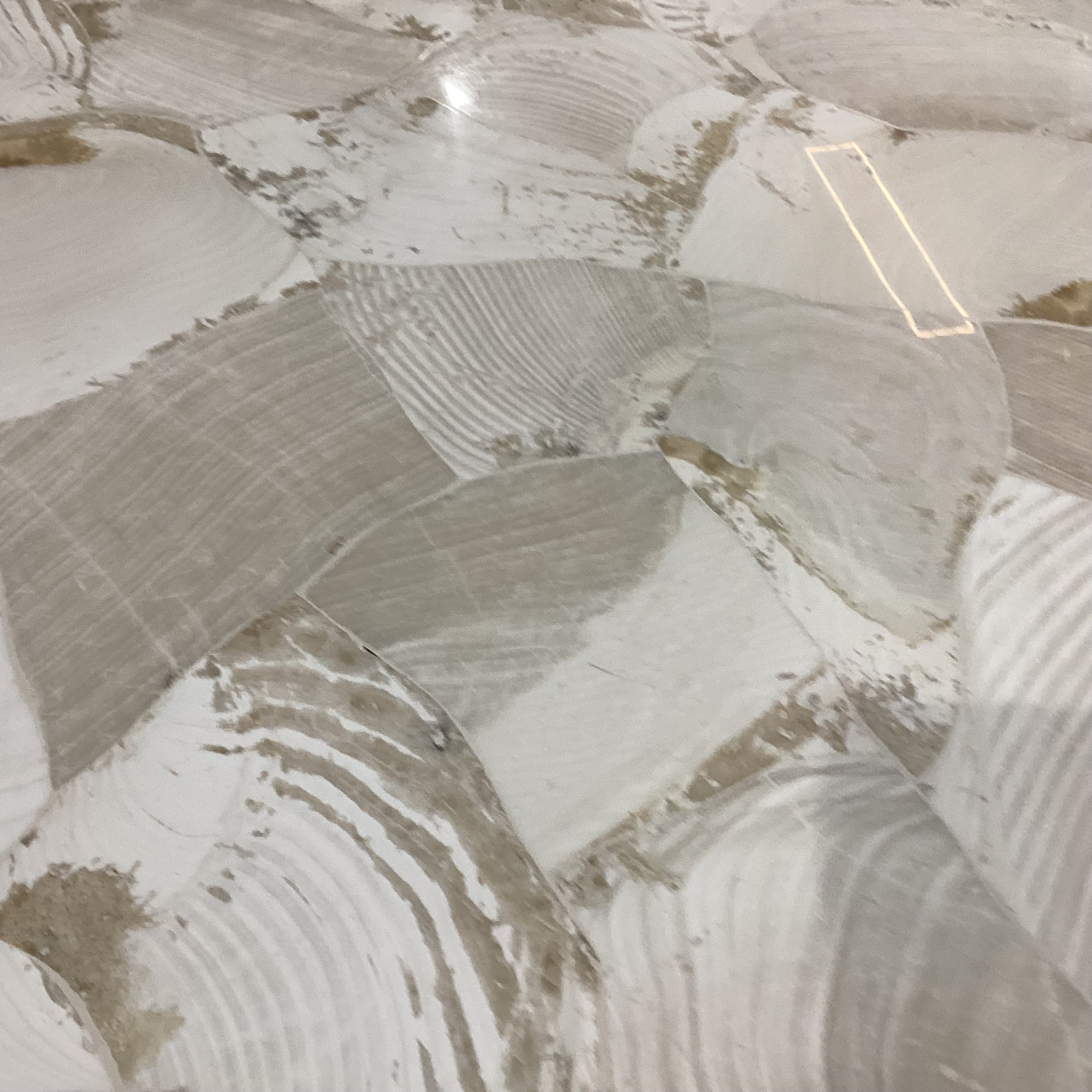 Camilla Fossilized Clam Shell Coffee Table 48"x 35"x 17"
