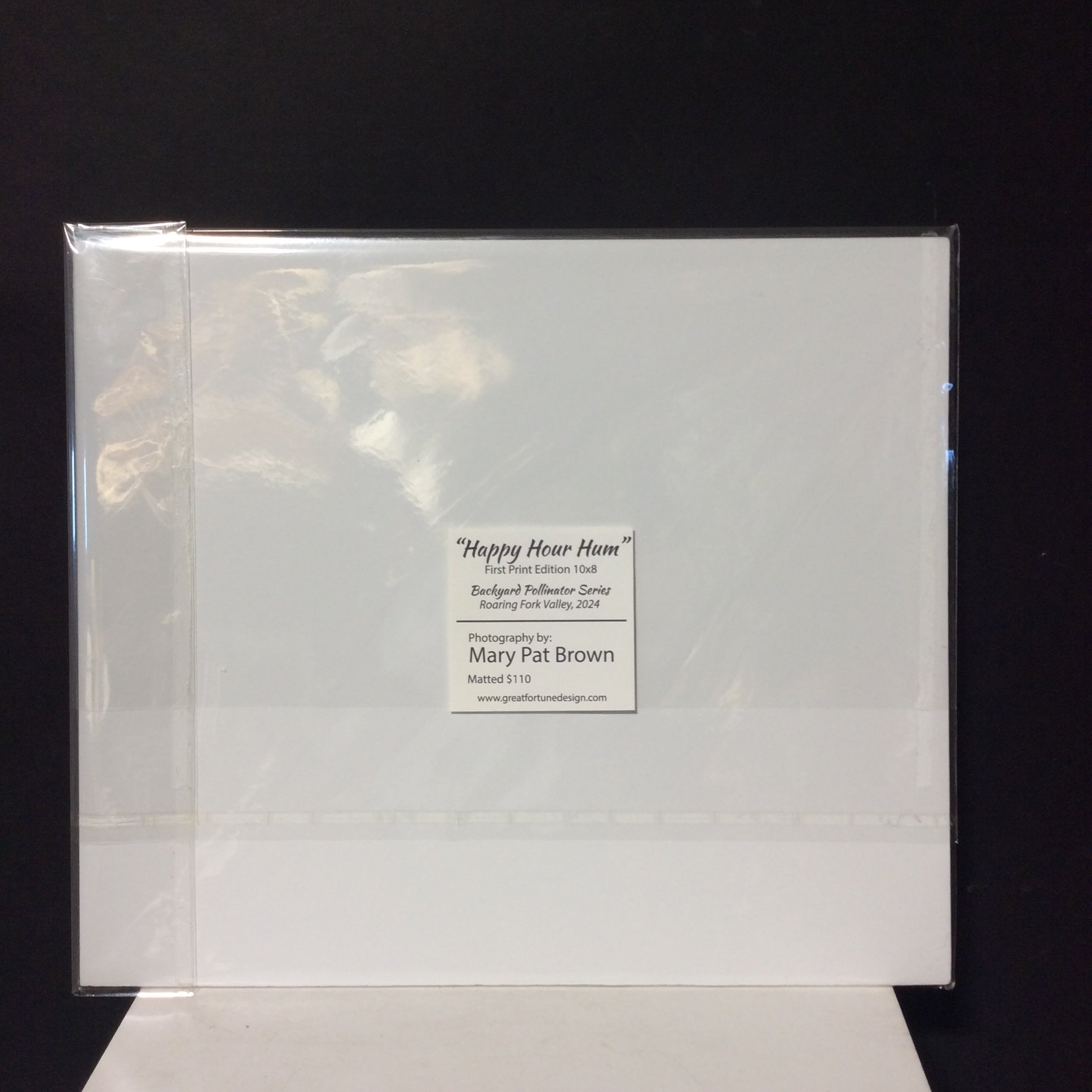 Matted W/Out Frame Signed "Happy Hour Hum" Hummingbird Photograph 14" x 12"