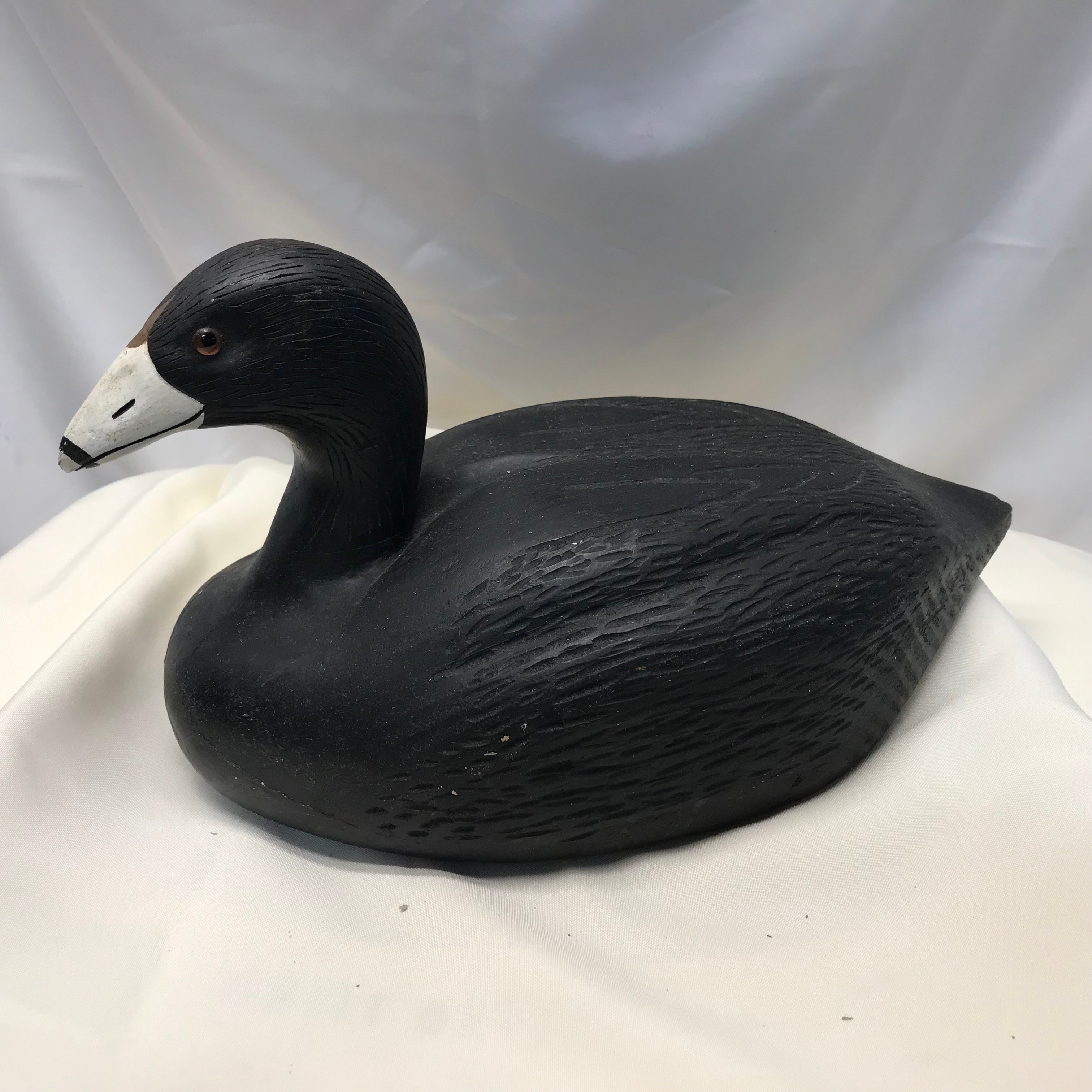 Vintage Coot Duck Decoy