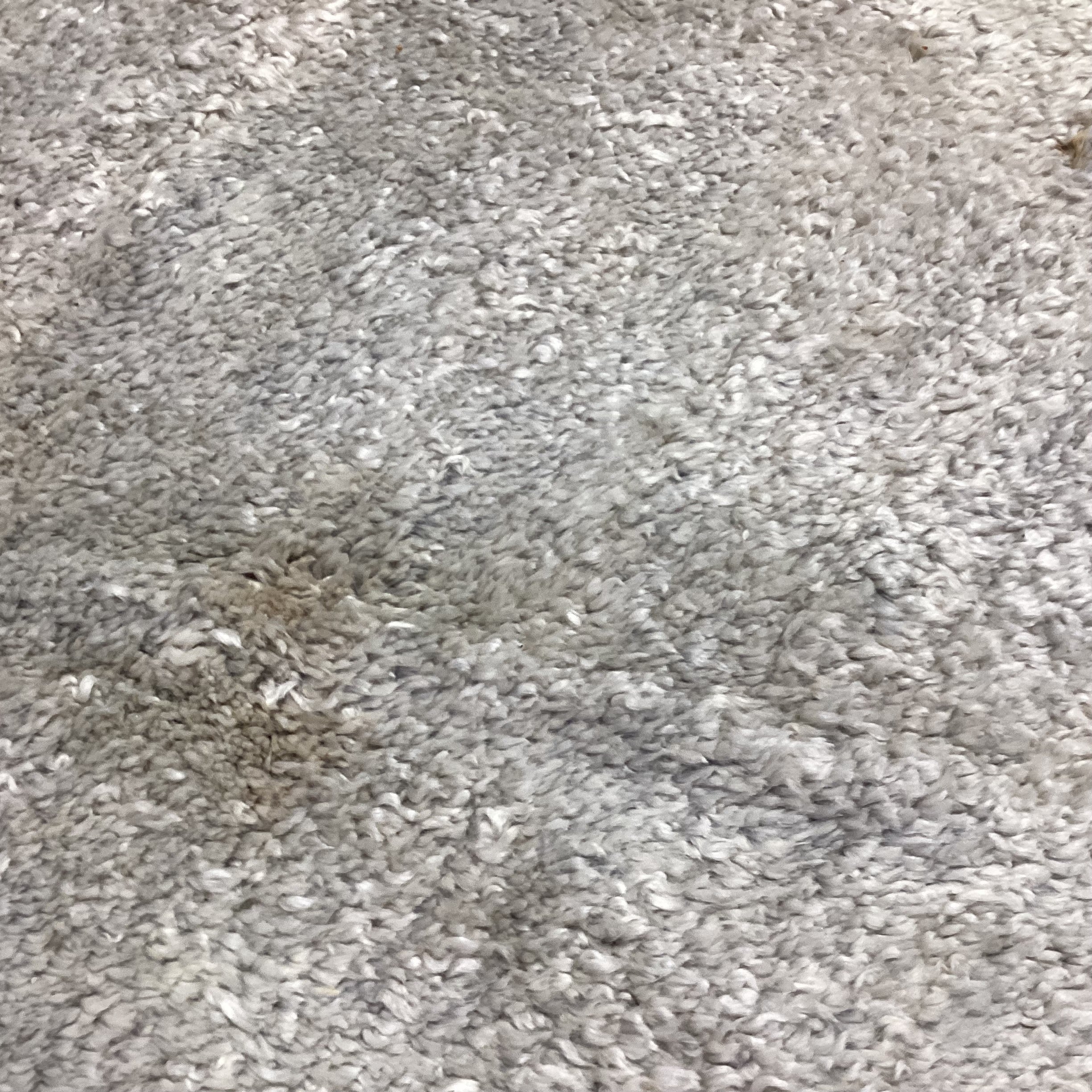 Gold & Grey Woven Wool Rug 10'x 10'4"