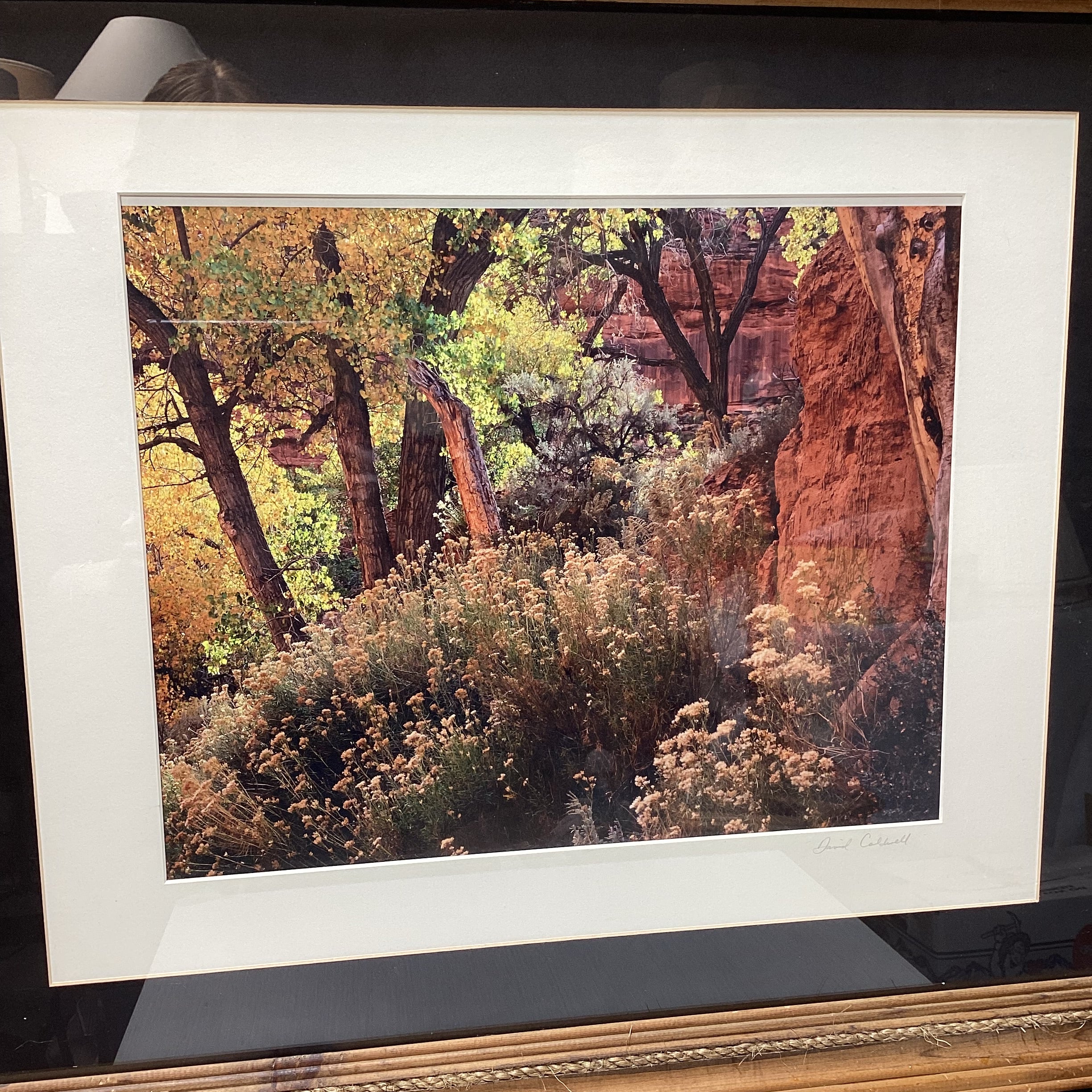 David Coldwell Signed Dessert Photograph In Rustic Wood Frame 28" x 24"