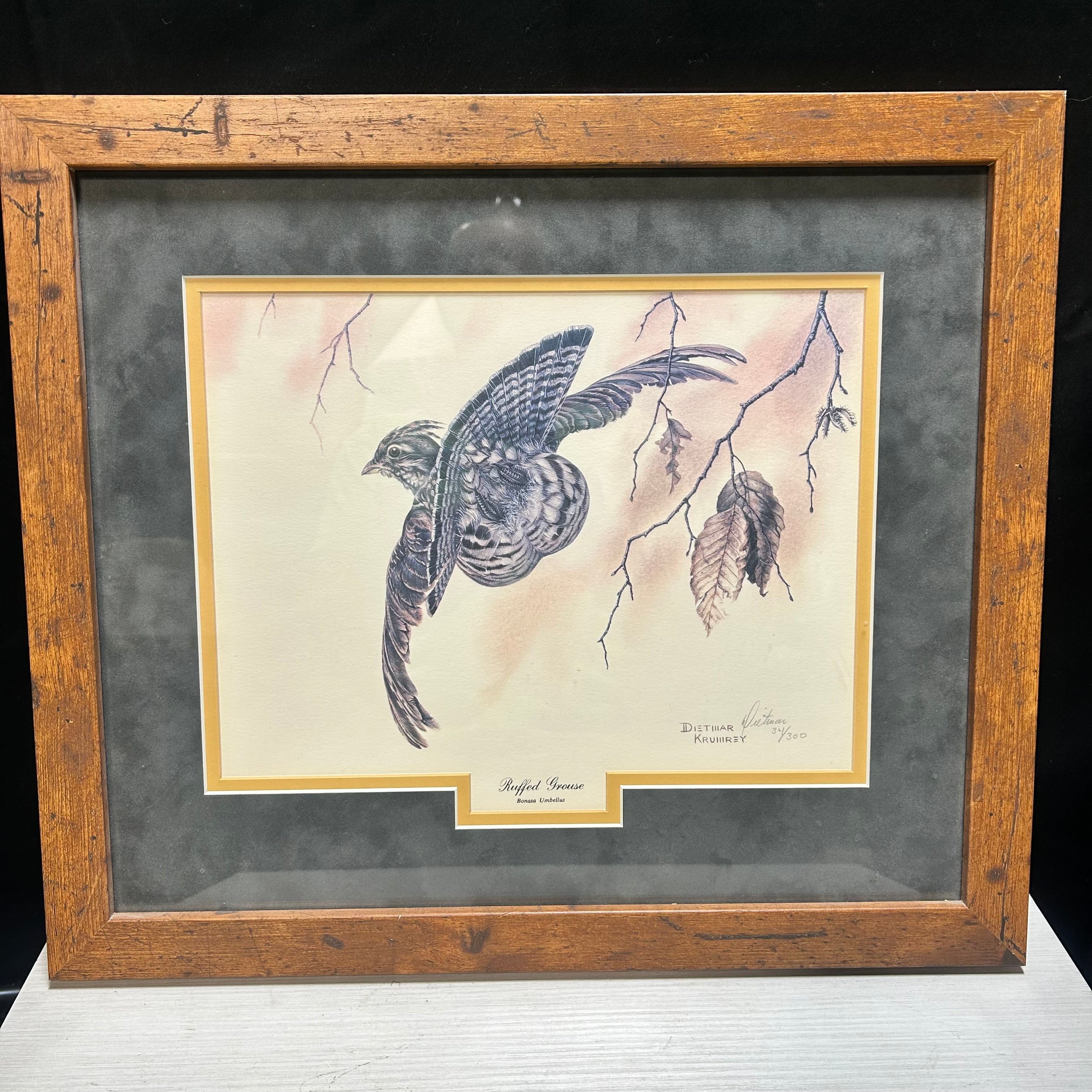 Vintage Dietmar Krumrey "Ruffed Grouse" Double Signed & 34/300 Limited Print 18.5"x16"