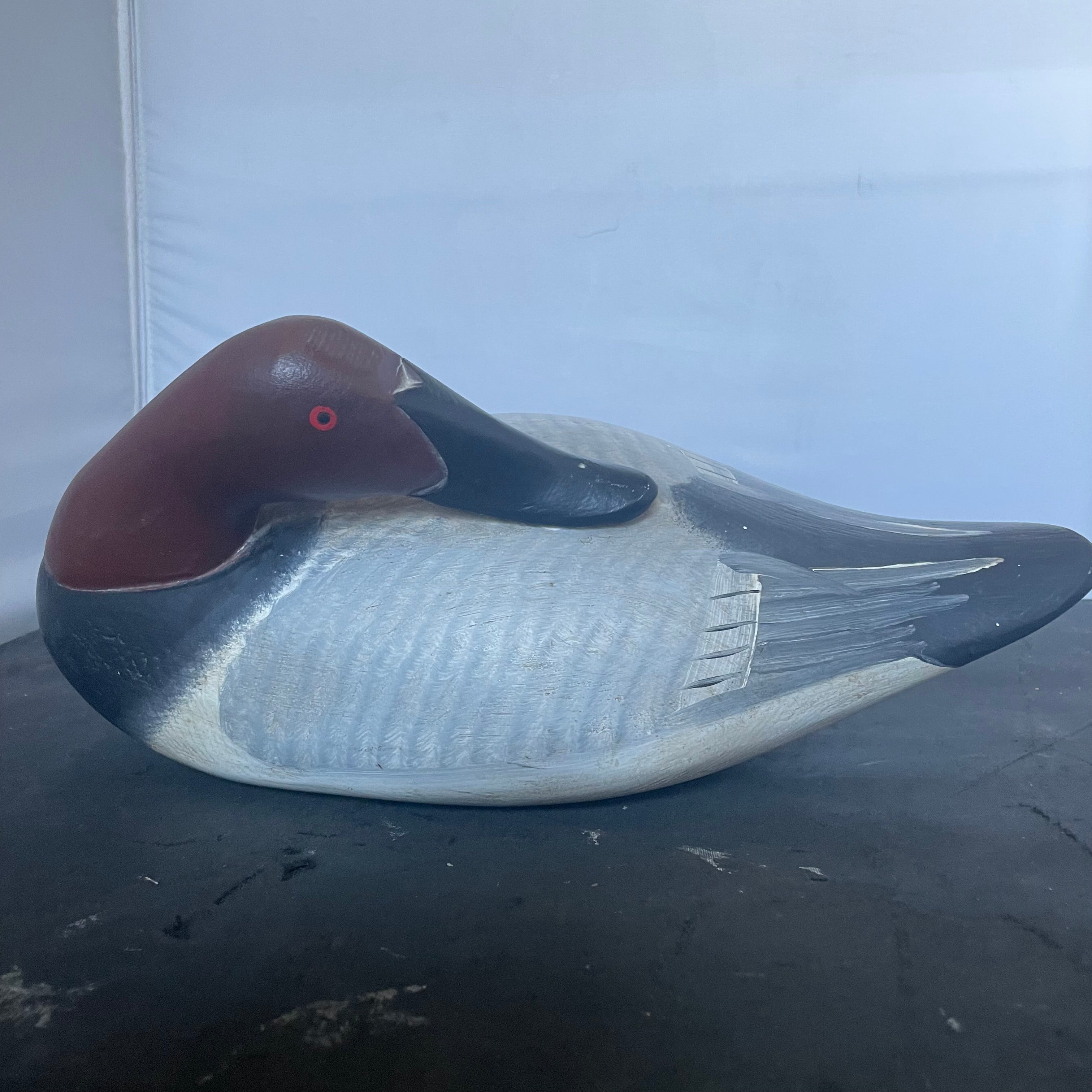 Vintage Handcarved Canvasback Drake "Sleeper" Decoy Signed by Artist, 14"x 7"x 5"
