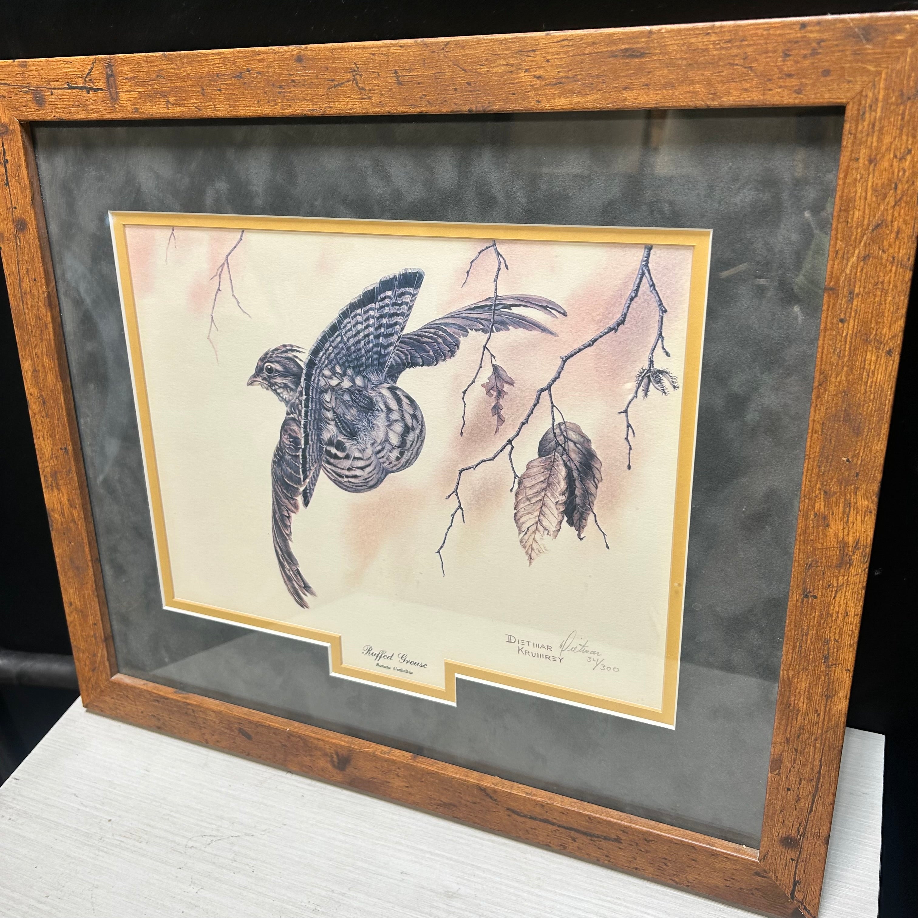 Vintage Dietmar Krumrey "Ruffed Grouse" Double Signed & 34/300 Limited Print 18.5"x16"