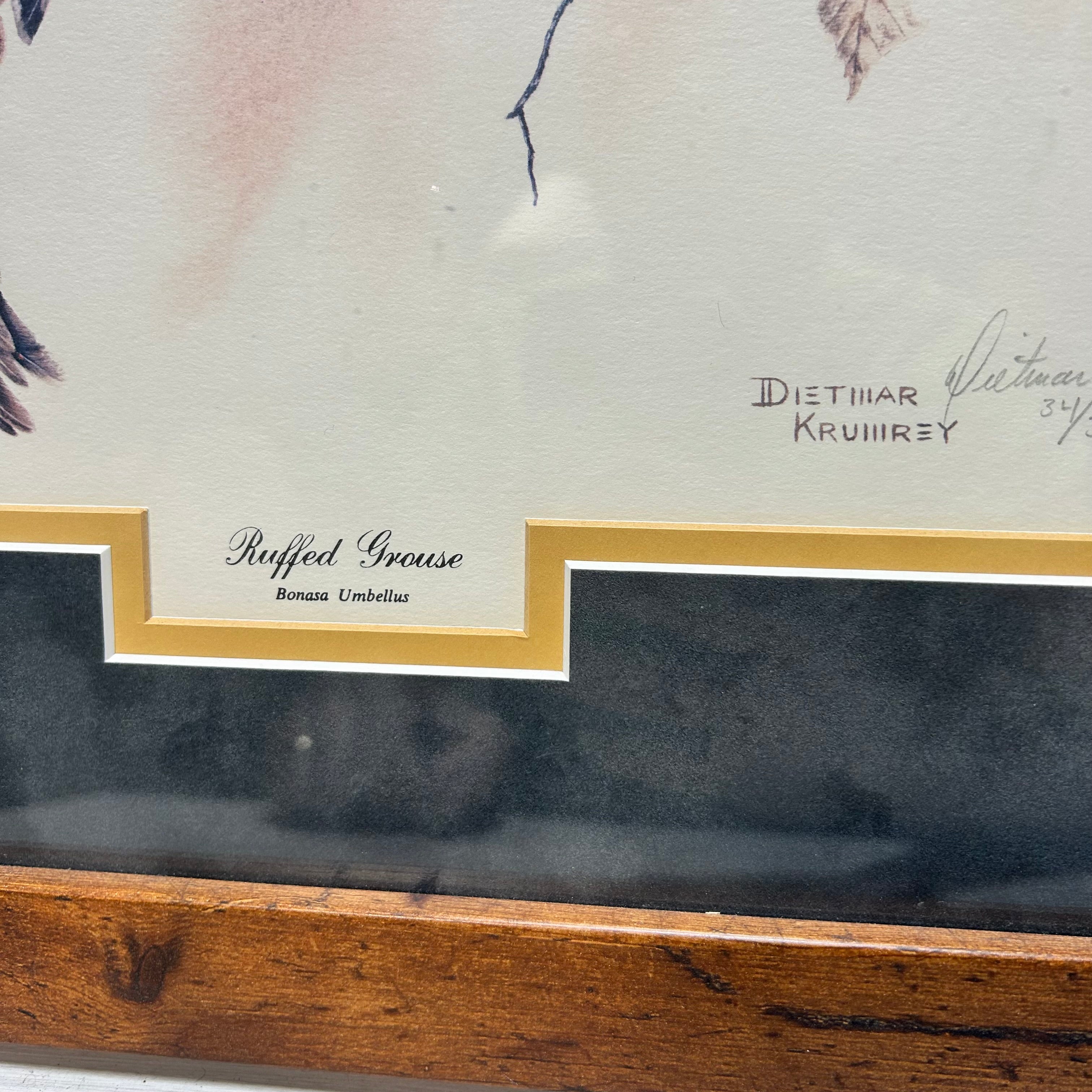 Vintage Dietmar Krumrey "Ruffed Grouse" Double Signed & 34/300 Limited Print 18.5"x16"