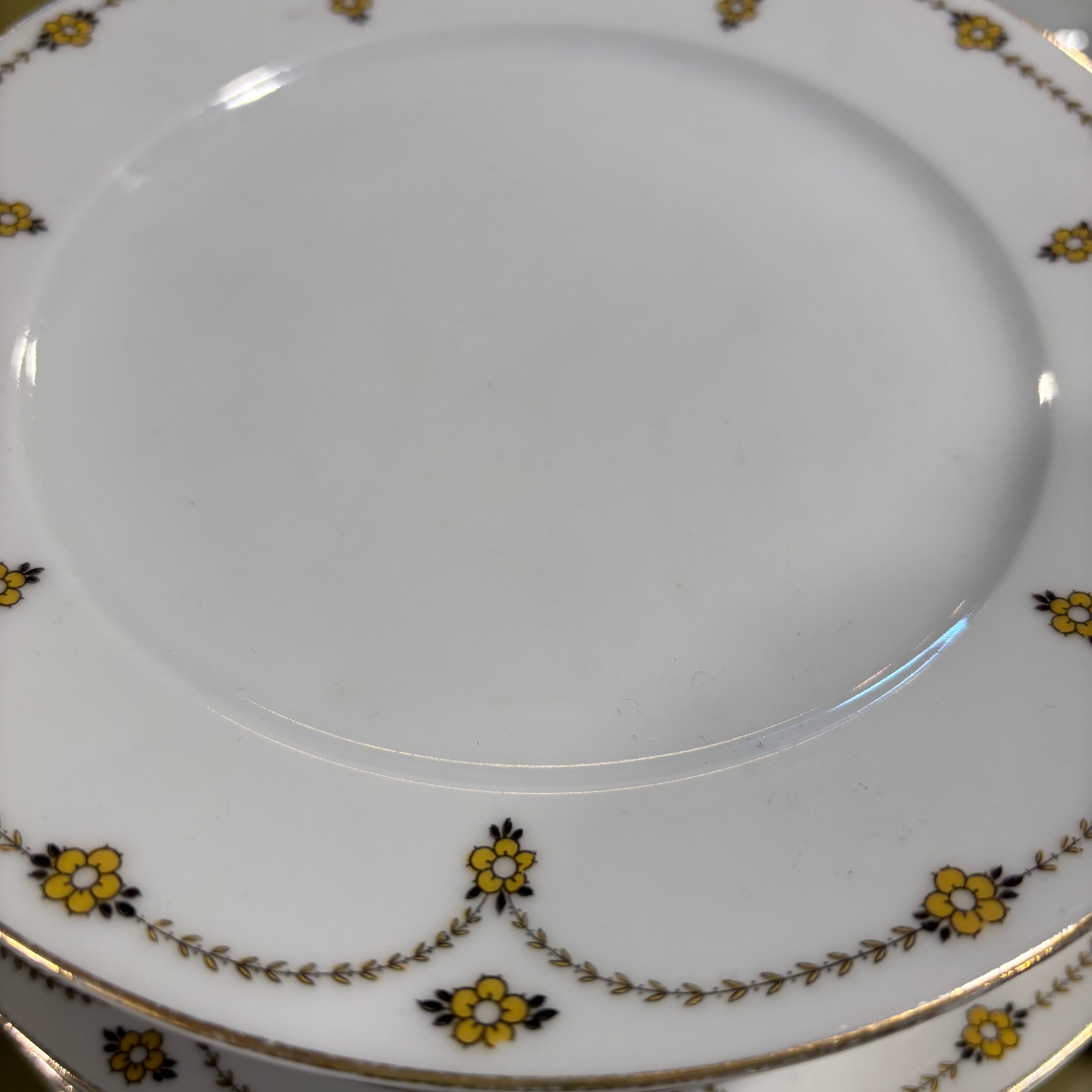 Set of 36 Pieces Thomas Bavaria China Dinnerware