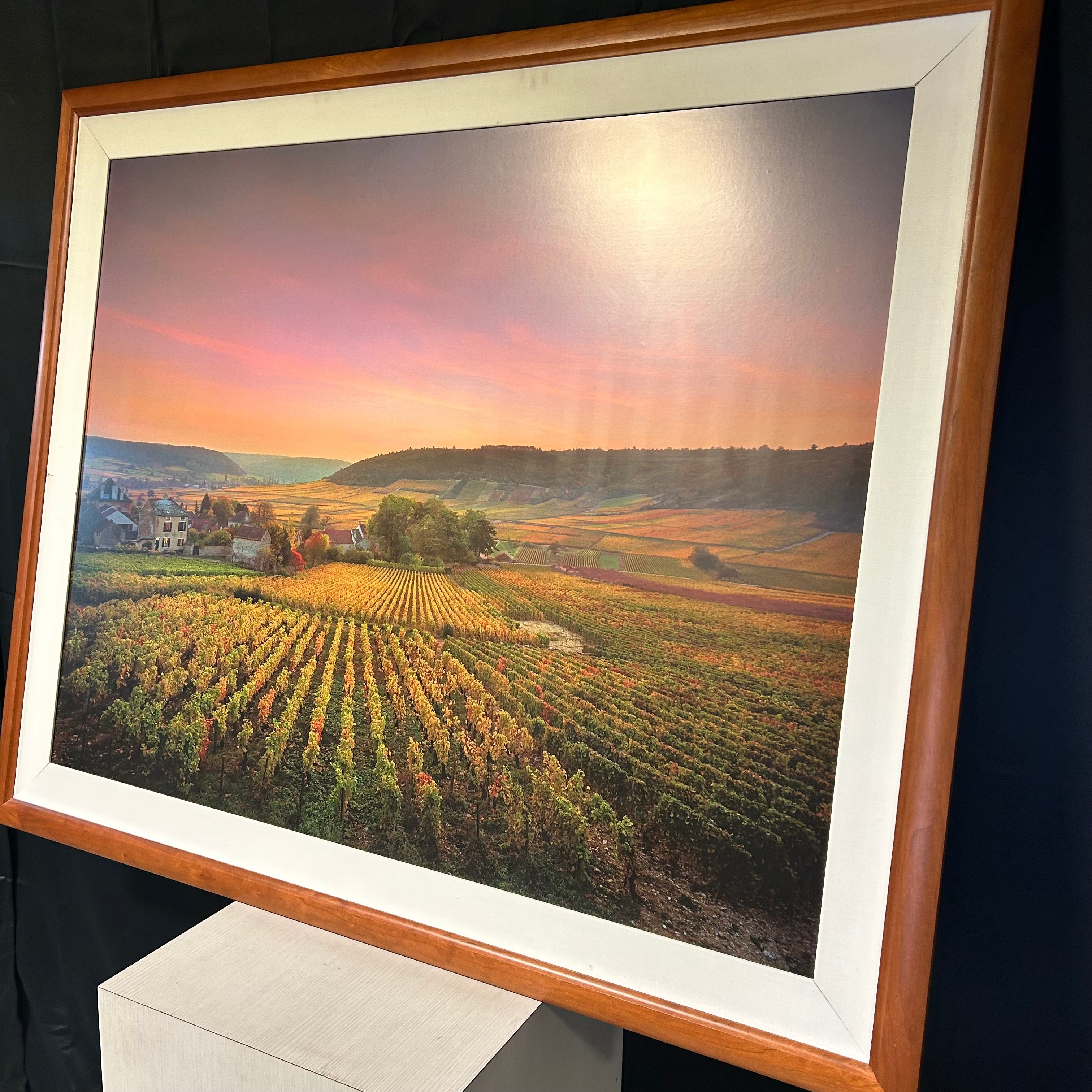 Large Print On A Panel Of A Vinyard  59"x 48"