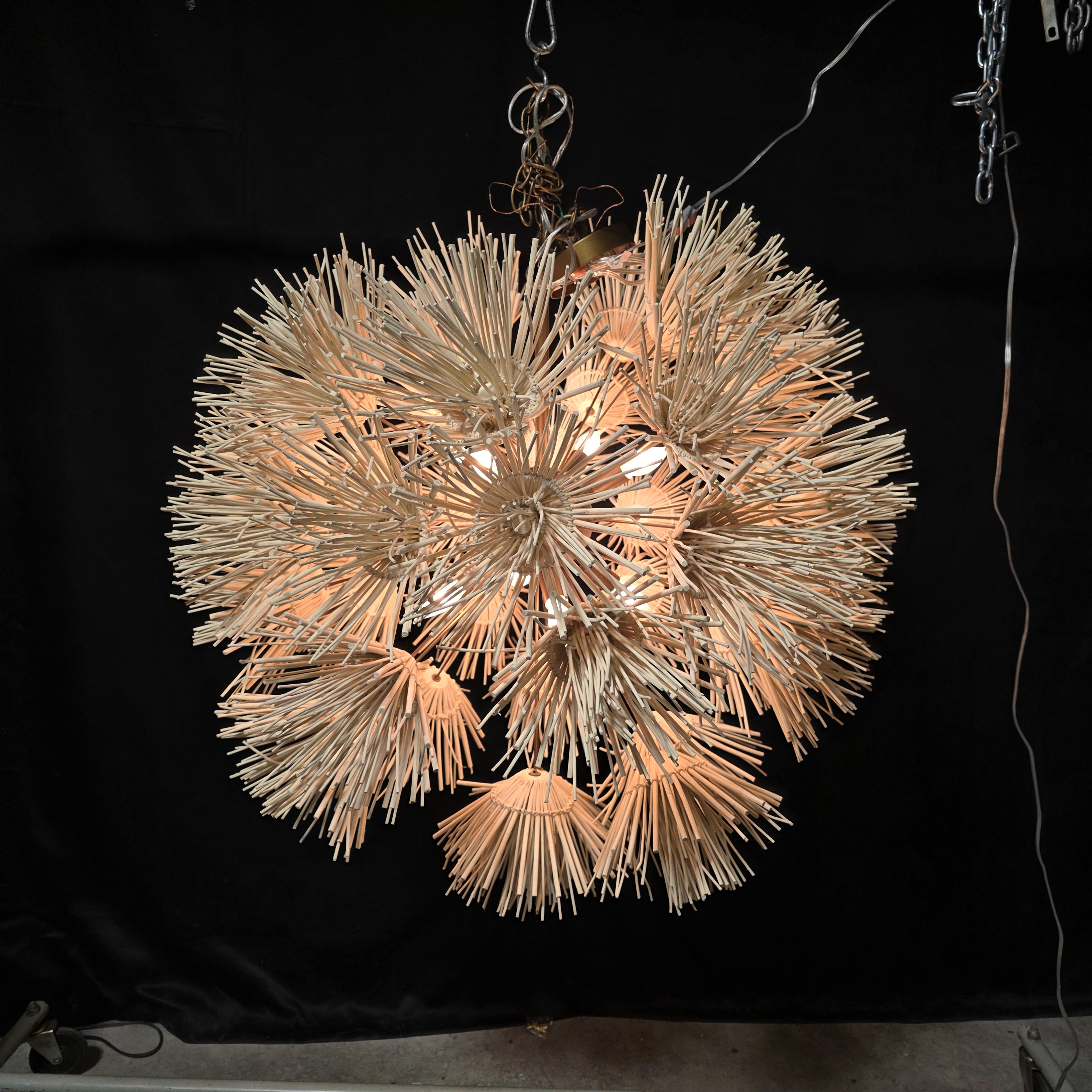Arteriors Home Eight Light Winona Chandelier in Ivory Coconut Shells 39"x35"x37"