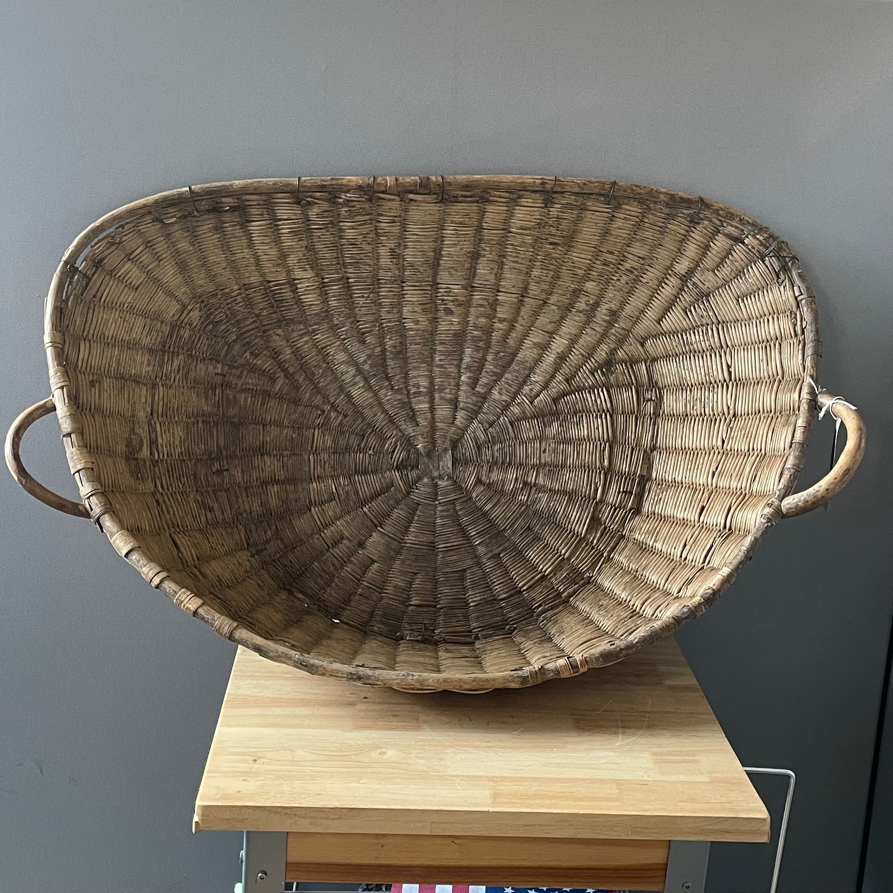 Antique French Winnowing/Harvest Basket, 42"x 27"x 10.5"