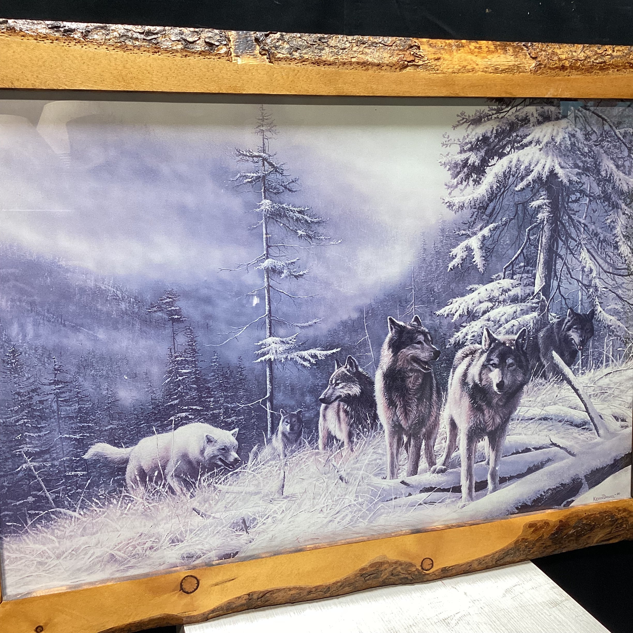 Kevin Daniel "Search For Survival" Print In Natural Wood Frame 41" x 21"