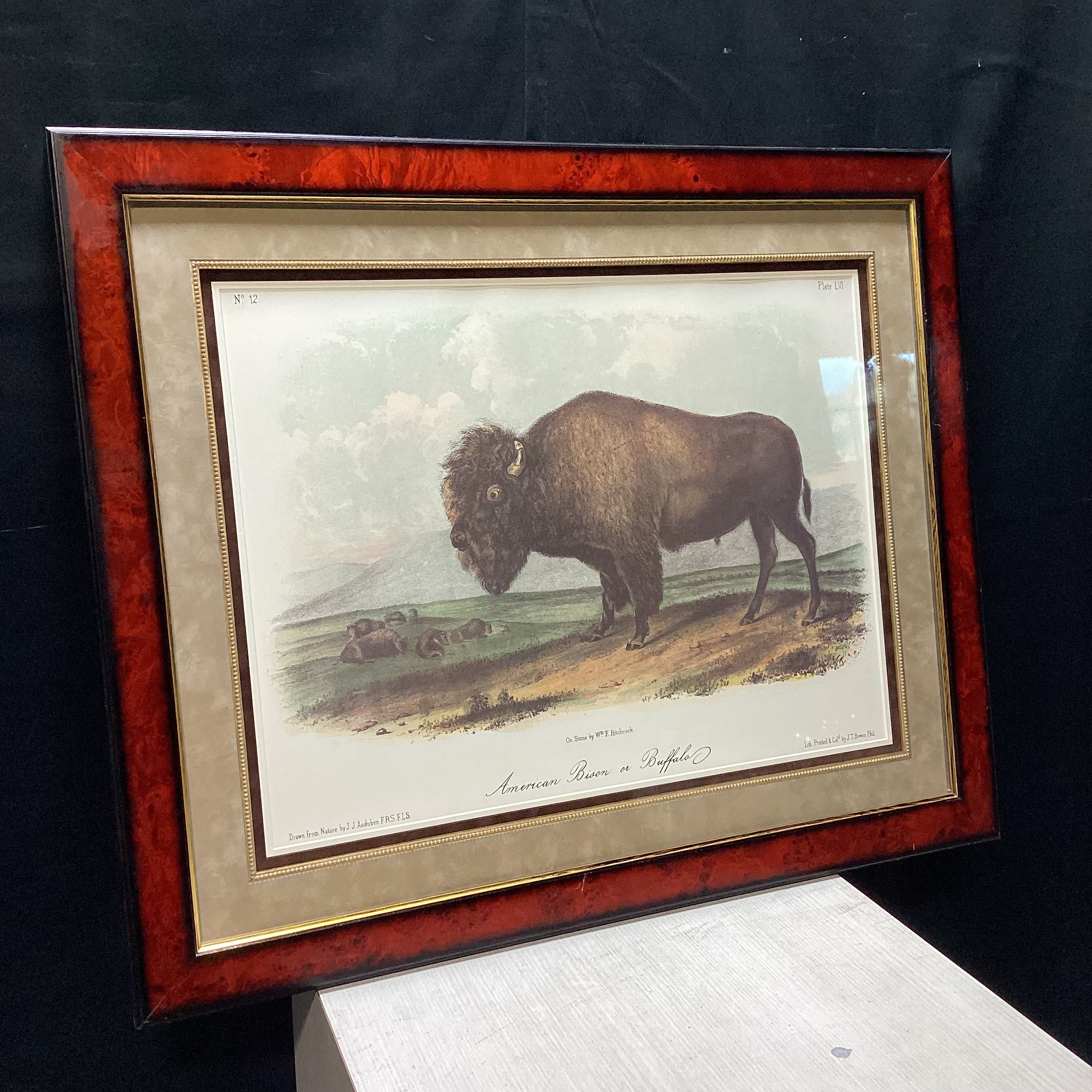 John Audubon "American Bison or Buffalo" Framed Lithograph Print 33.5" x 27.5"
