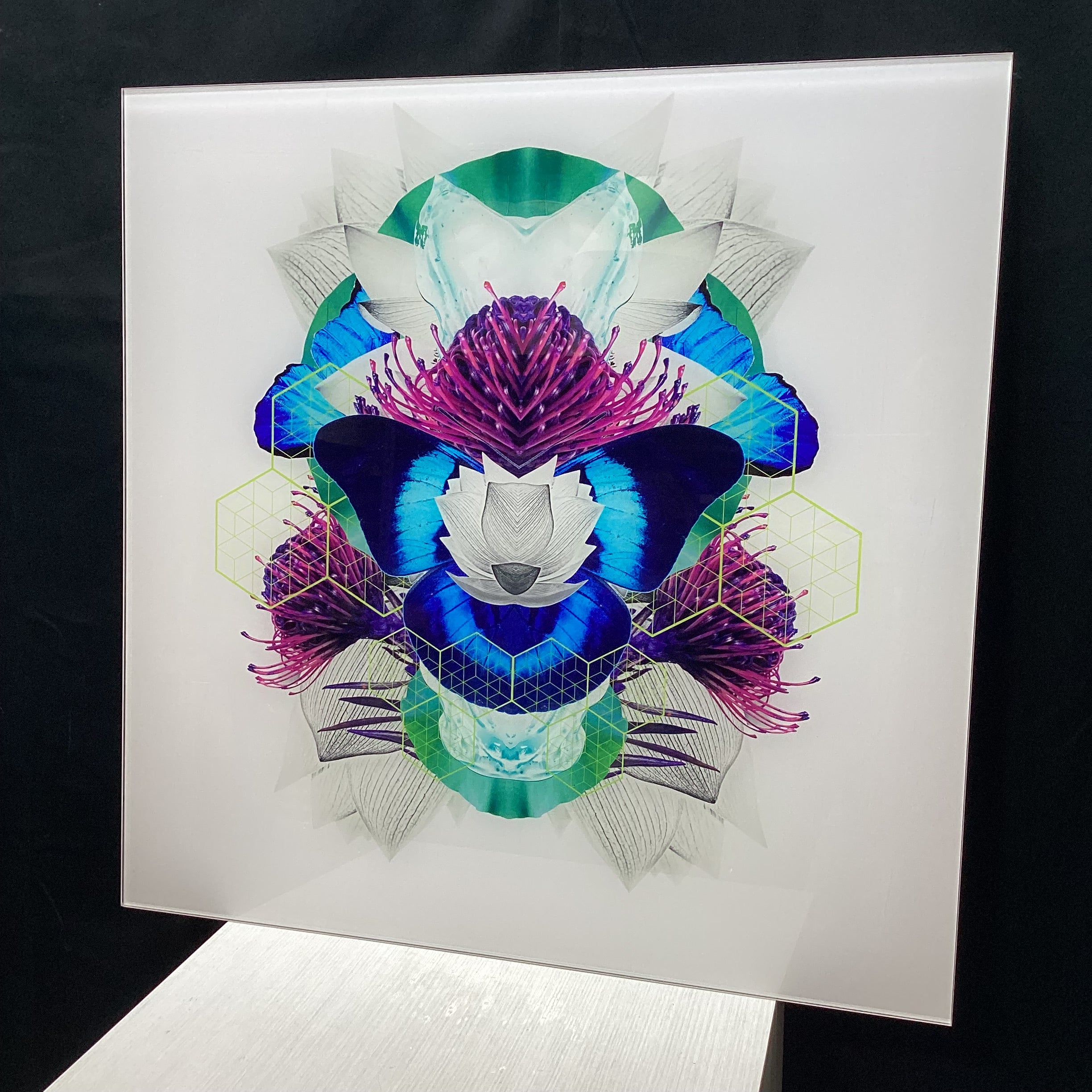 Symmetrical Butterfly/Nature Photograph With Digital Collage Detailing 30" x 30"