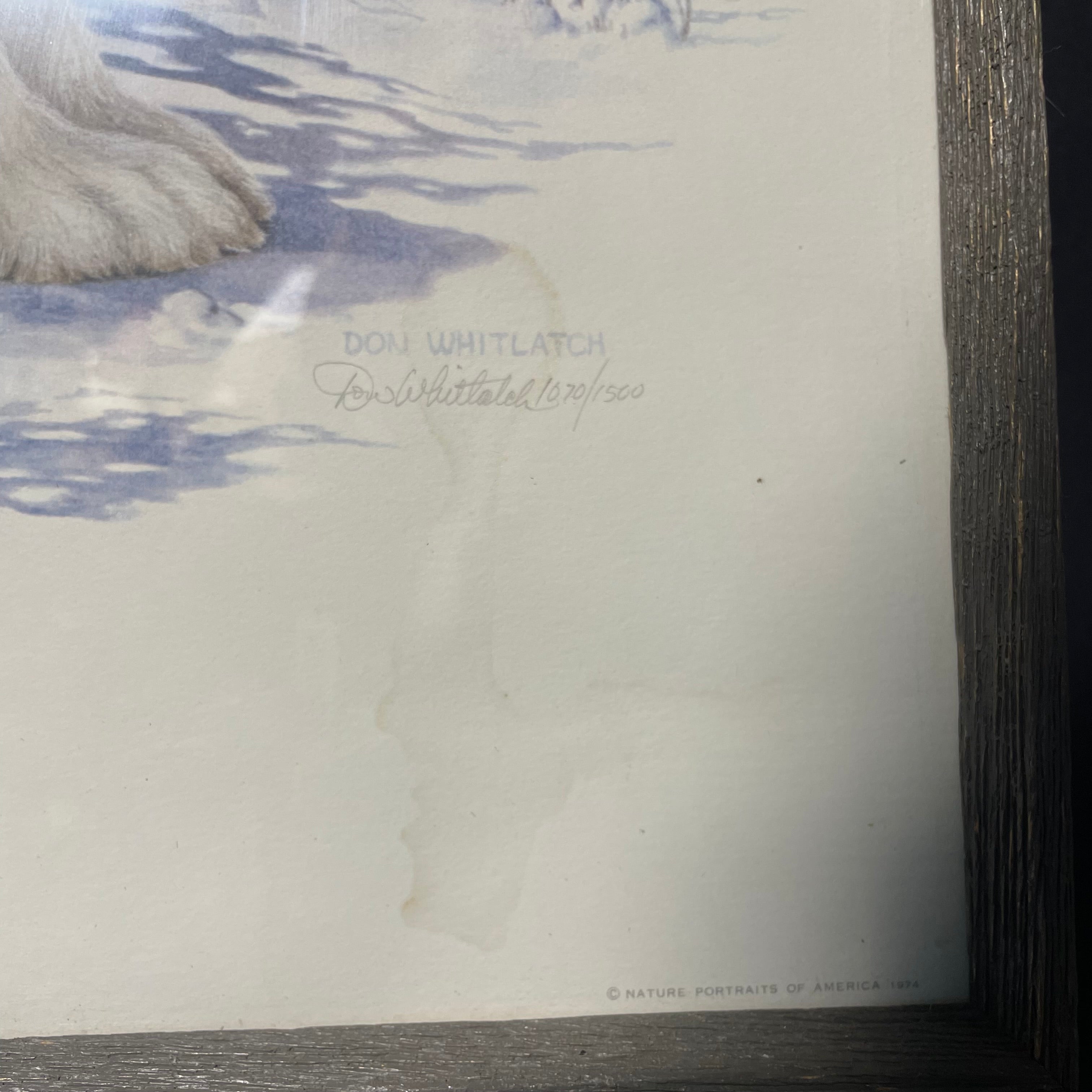 Don Whitlatch Signed Limited Edition "Varying Hare" Print In A Wooden Frame 17" x 21"