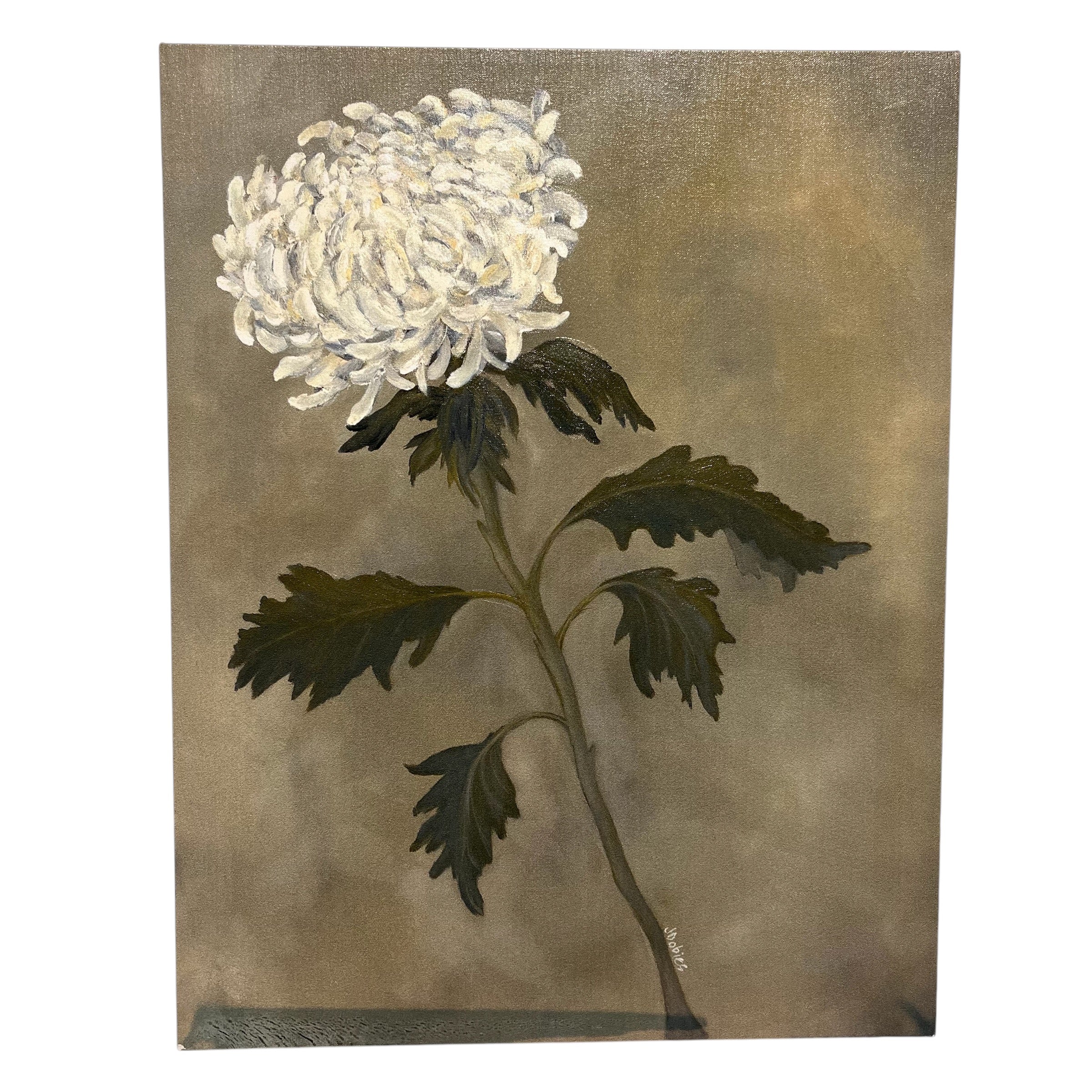 Julie Dobies Carnation Print on Canvas Wall Decor; 20.25"x 26"