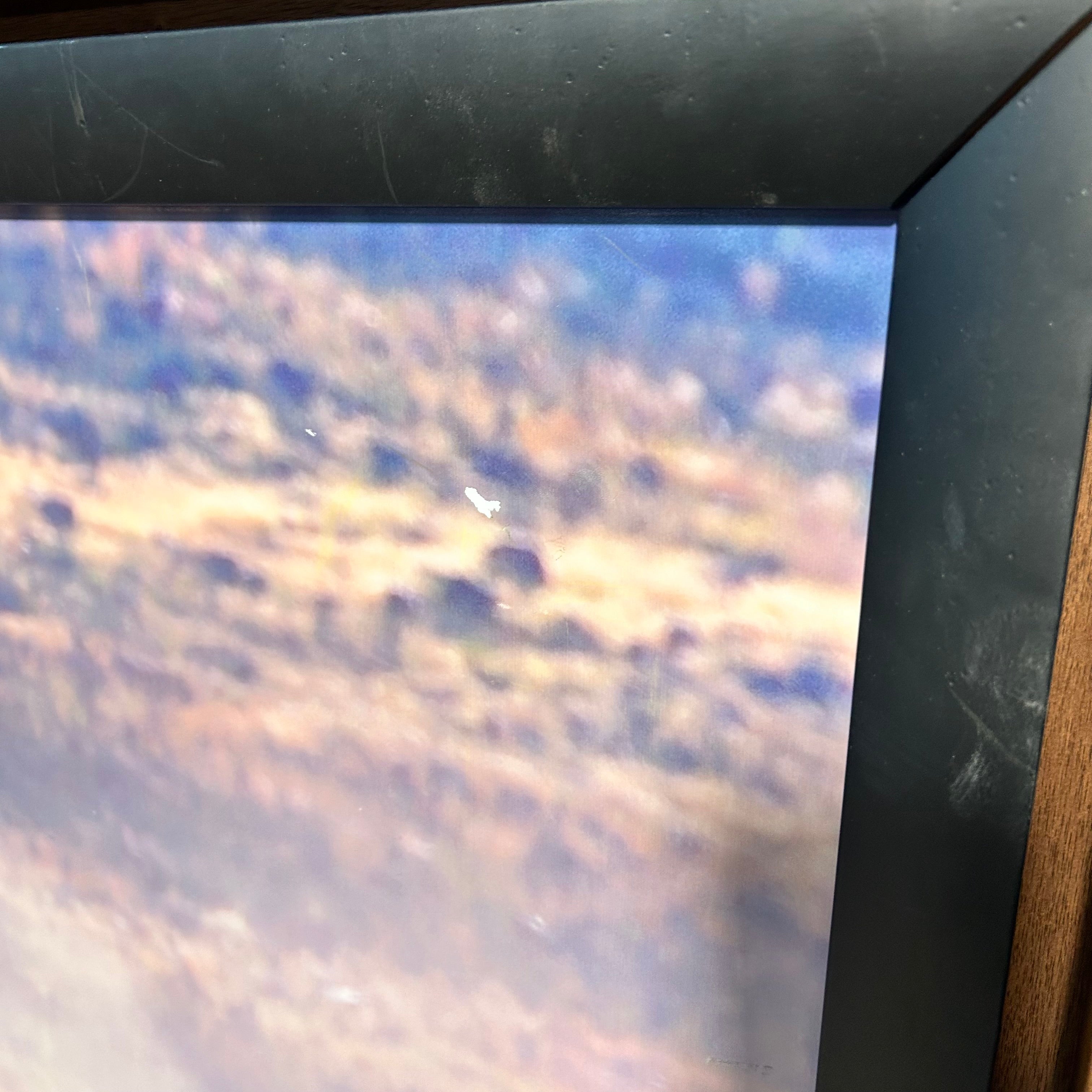 Large Wild Horse Photography 62.5x 43.5"