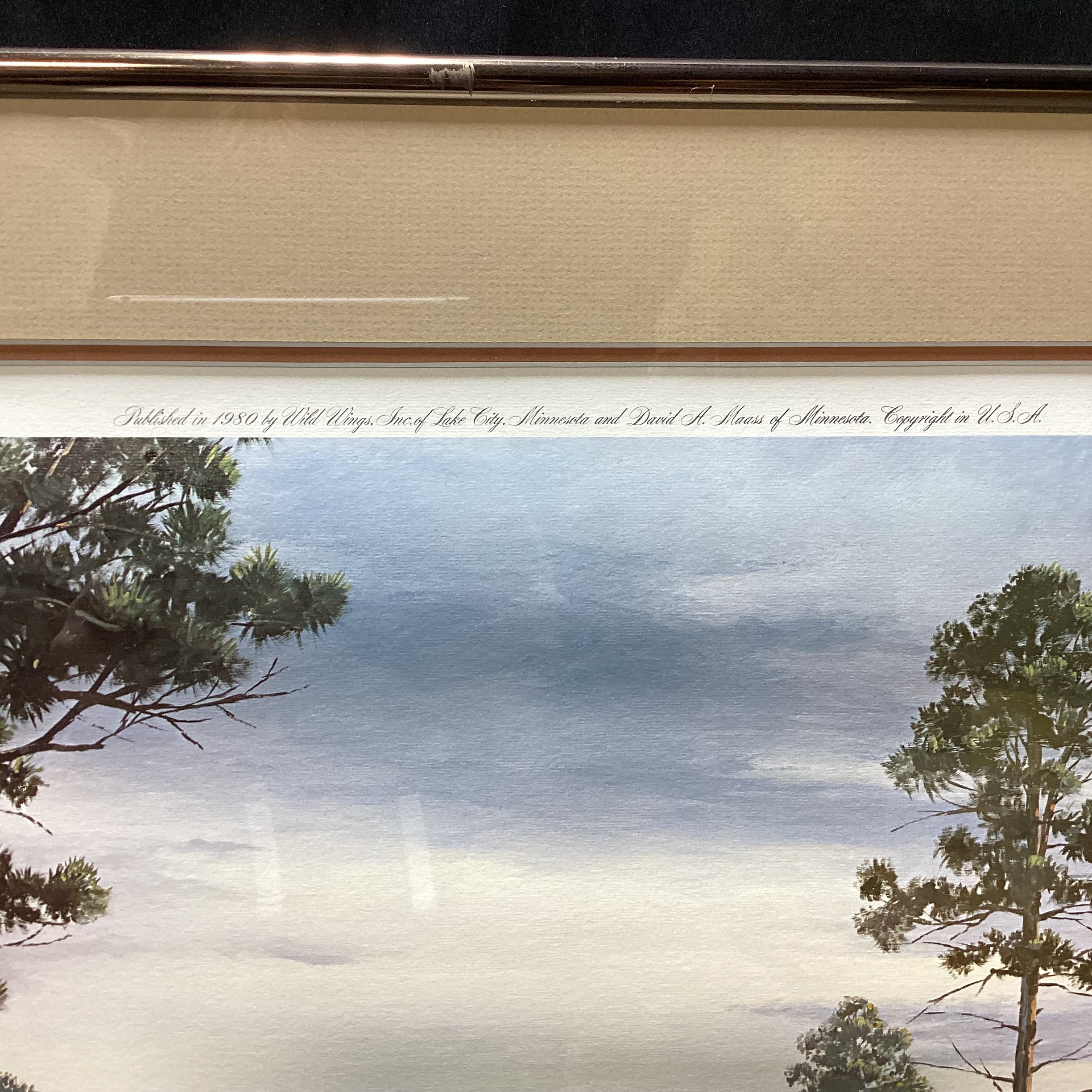 David A. Maass Signed "After the Rain" Limited Edition Print 31" x 22"