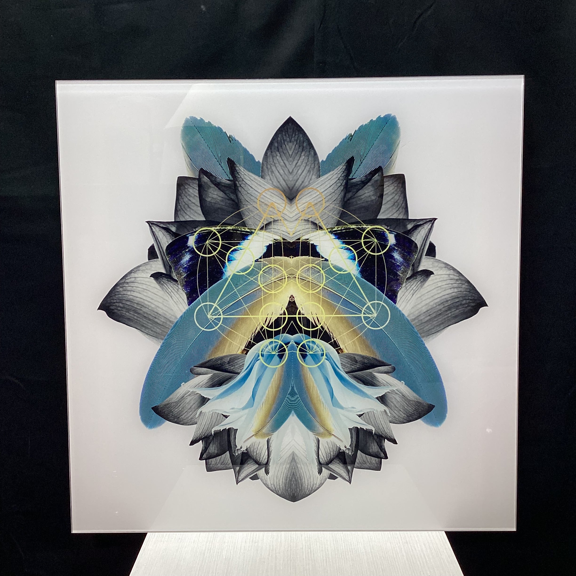 Symmetrical Feather/Nature Photograph Print With Gold Detailing 30" x 30"