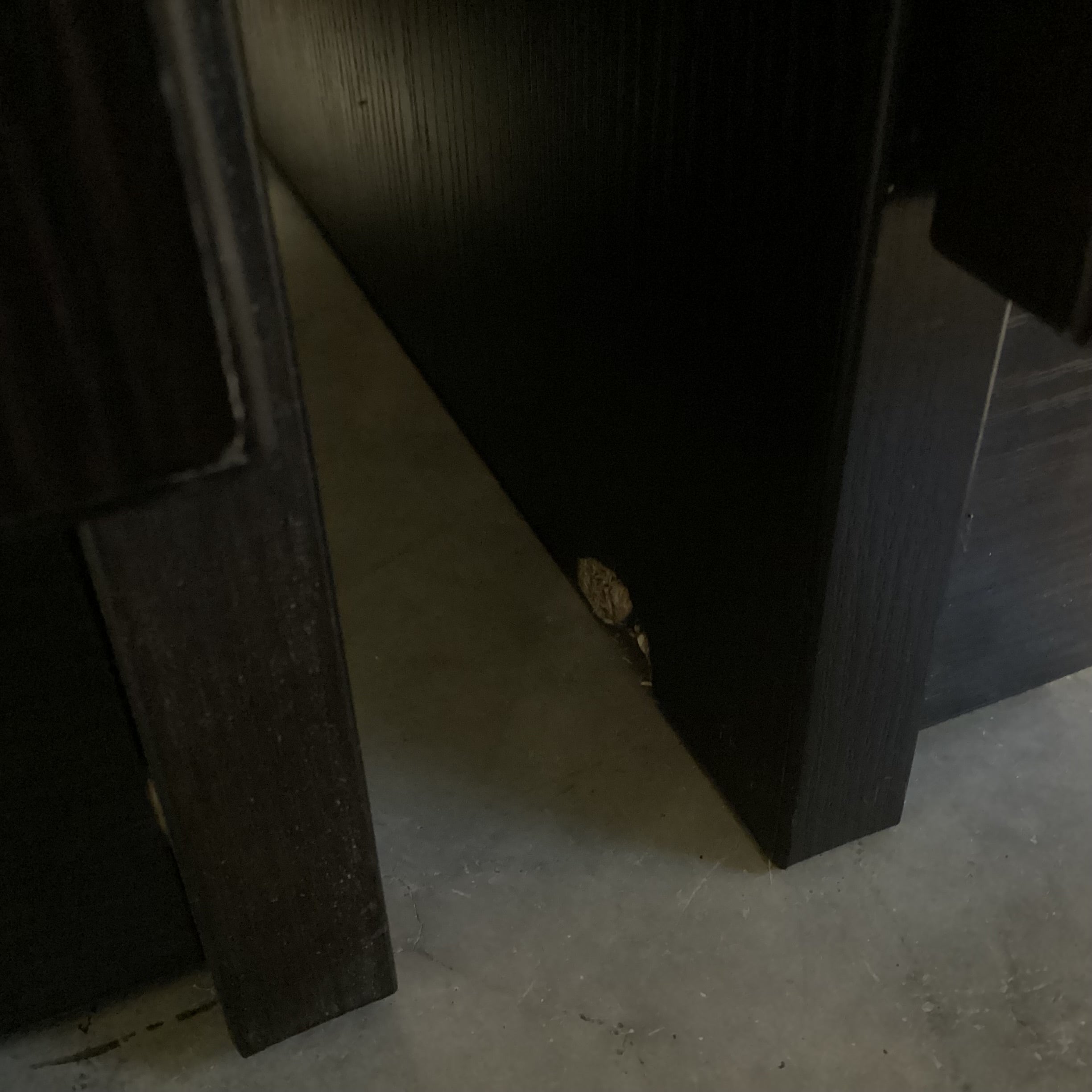 Dark Finish Wood Style Veneer 2 Door 2 Drawer Credenza 63"x 20"x 29"