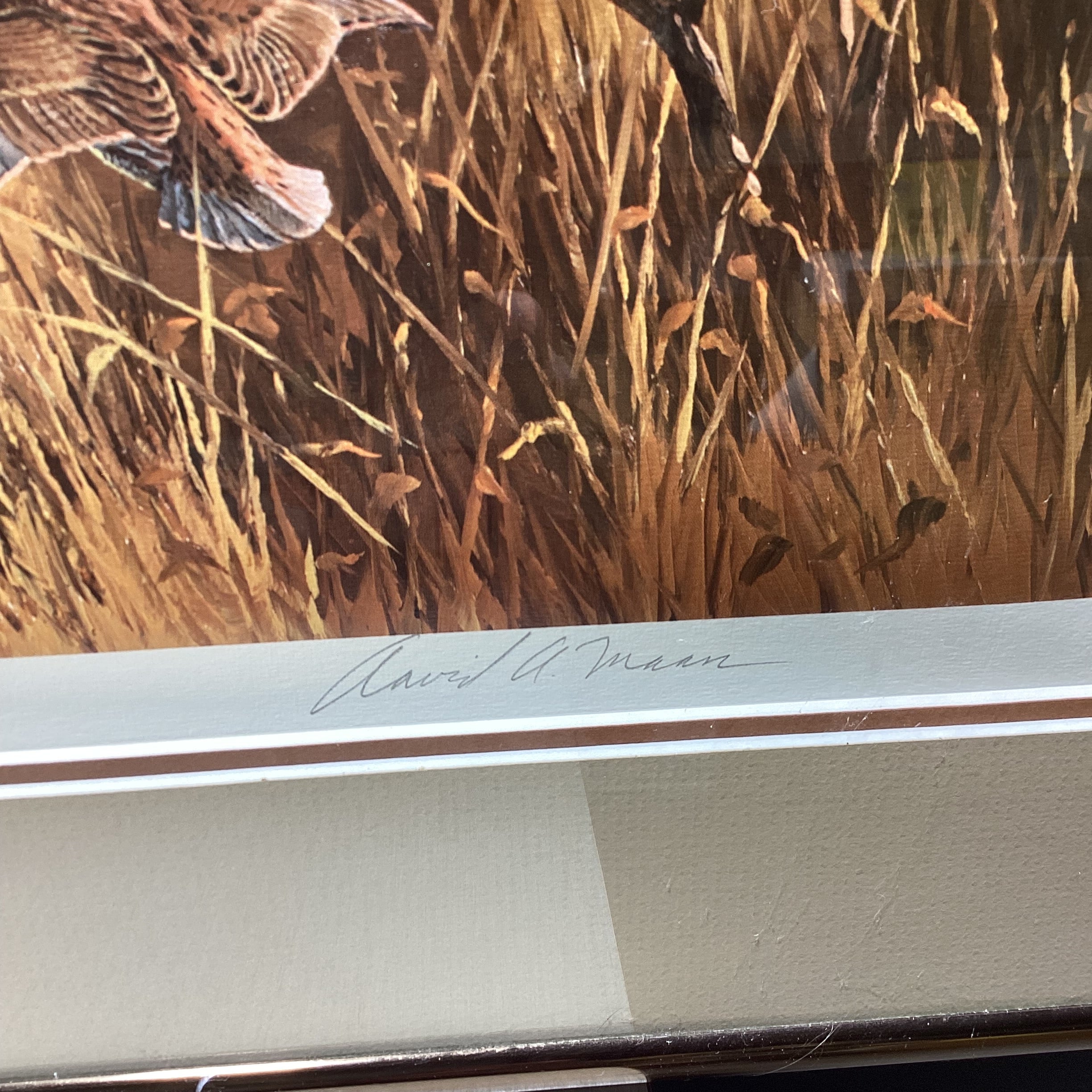 David A. Maass Signed "After the Rain" Limited Edition Print 31" x 22"