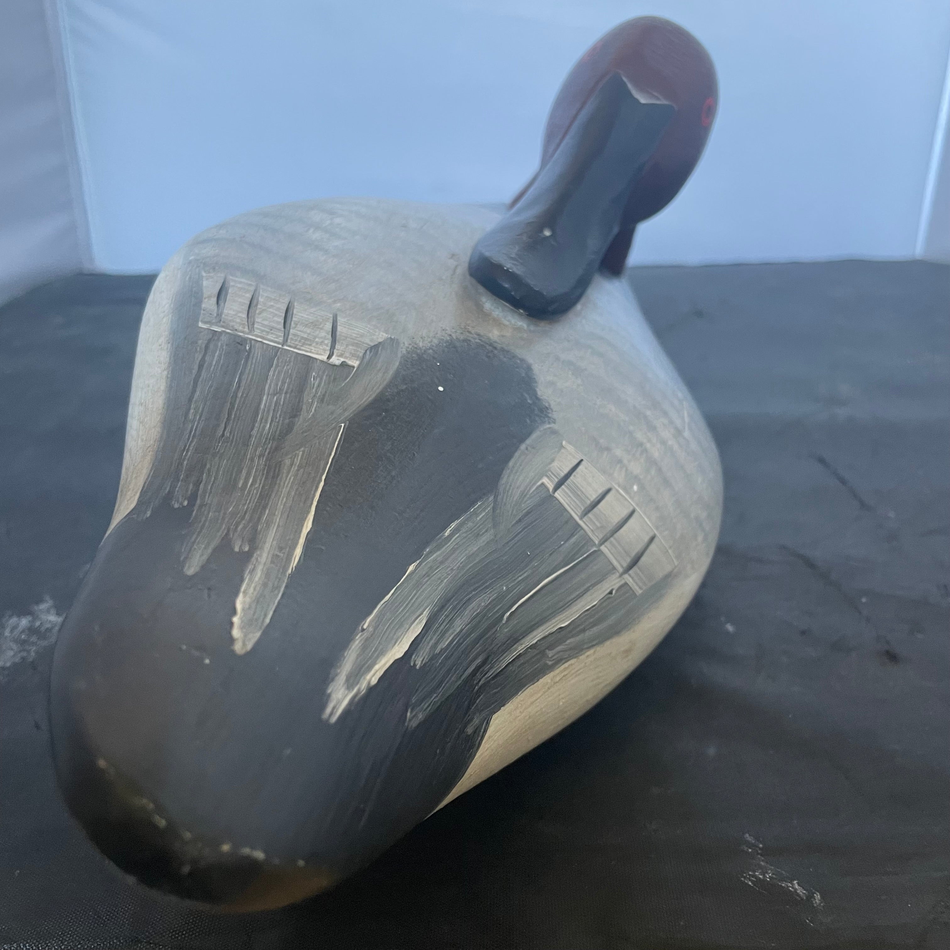 Vintage Handcarved Canvasback Drake "Sleeper" Decoy Signed by Artist, 14"x 7"x 5"