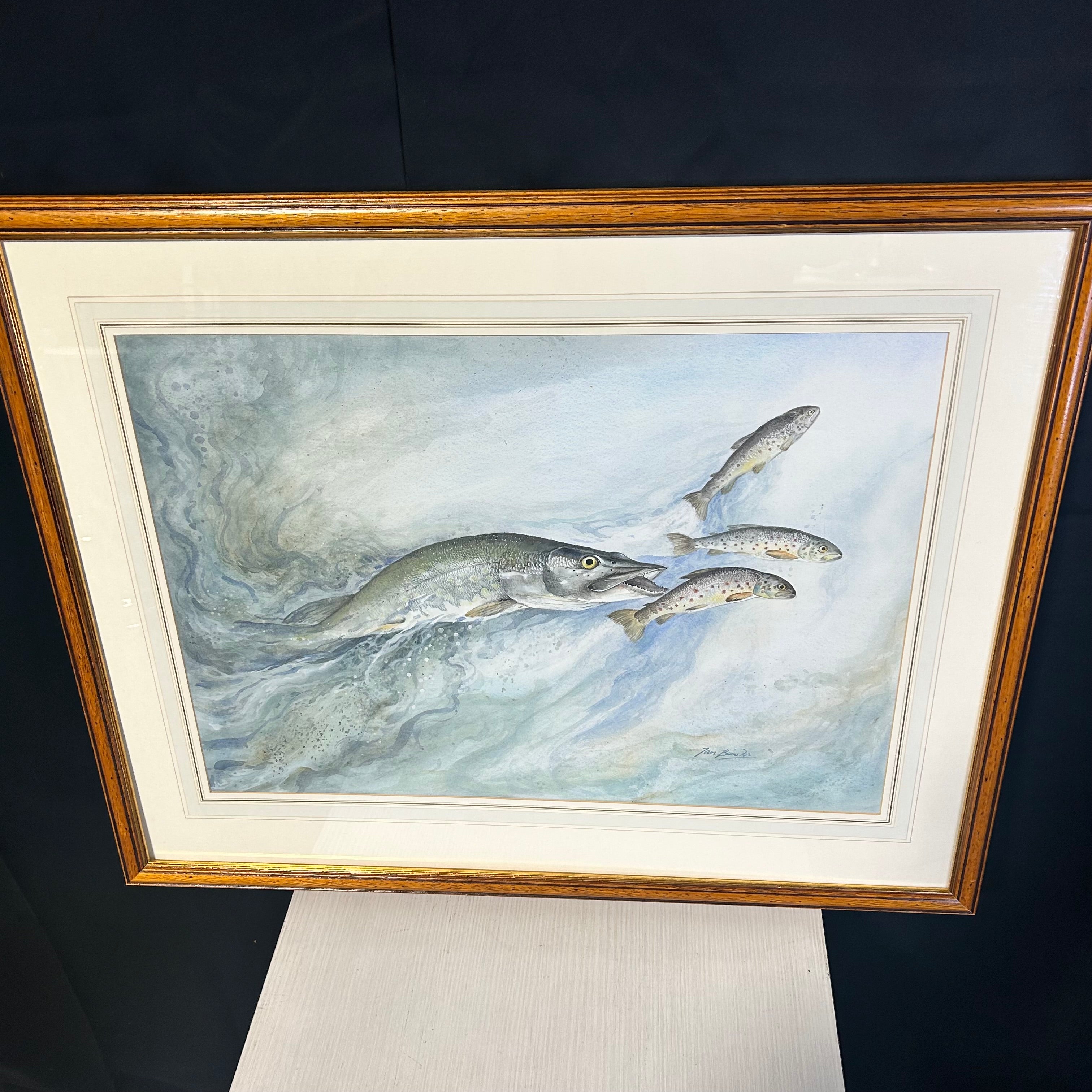 Ian Bowles Wildlife Artist Watercolr Signed Painting  Pike Chasing Trout 32"x26"