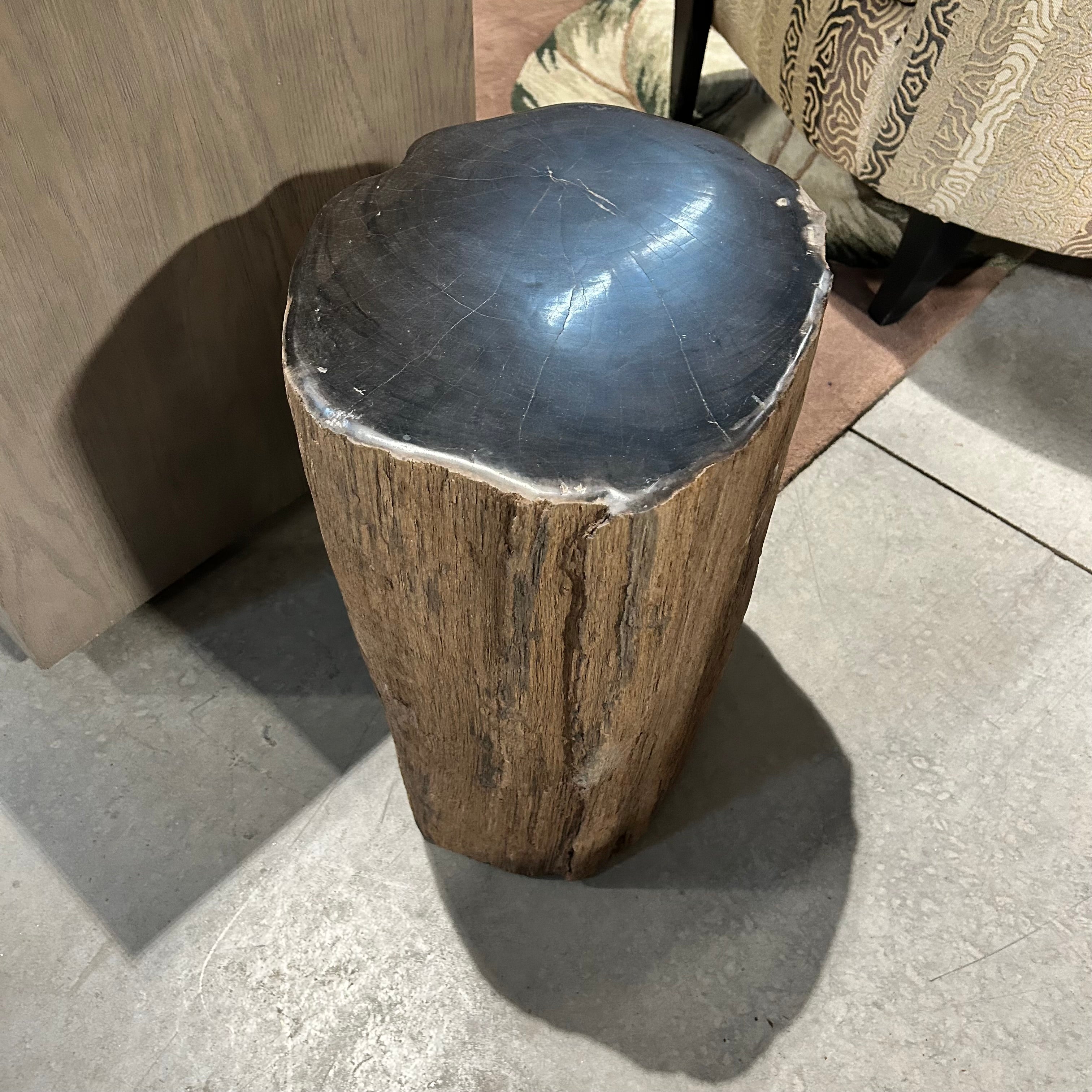 One Of A KindTan And Black Polished Petrified Wood 16"x 13"x 19"
