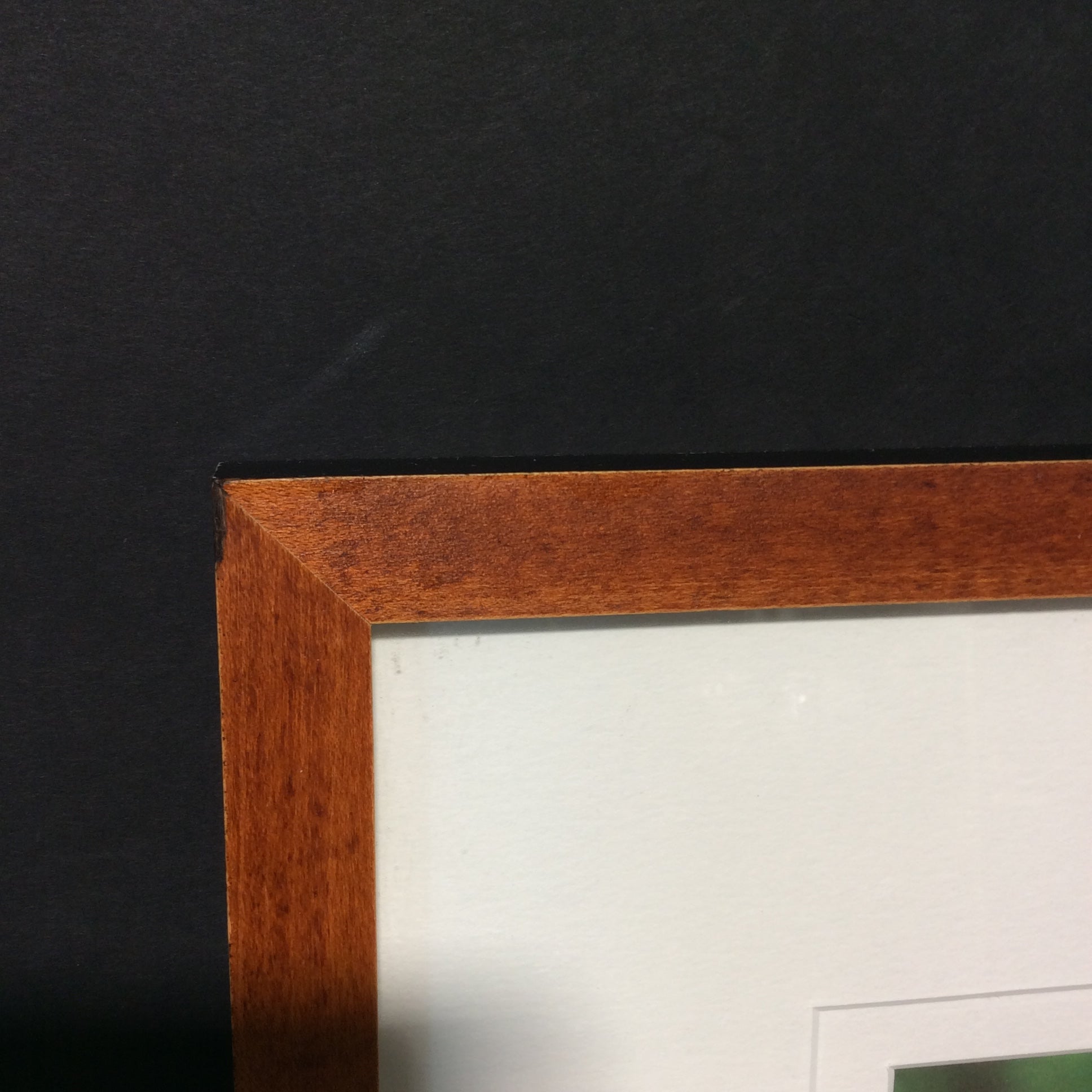 Paul Zautely Signed "Wonder Of The Black-tailed Deer" Giclee Photograph In Frame 25 1/4" x 19 1/2"