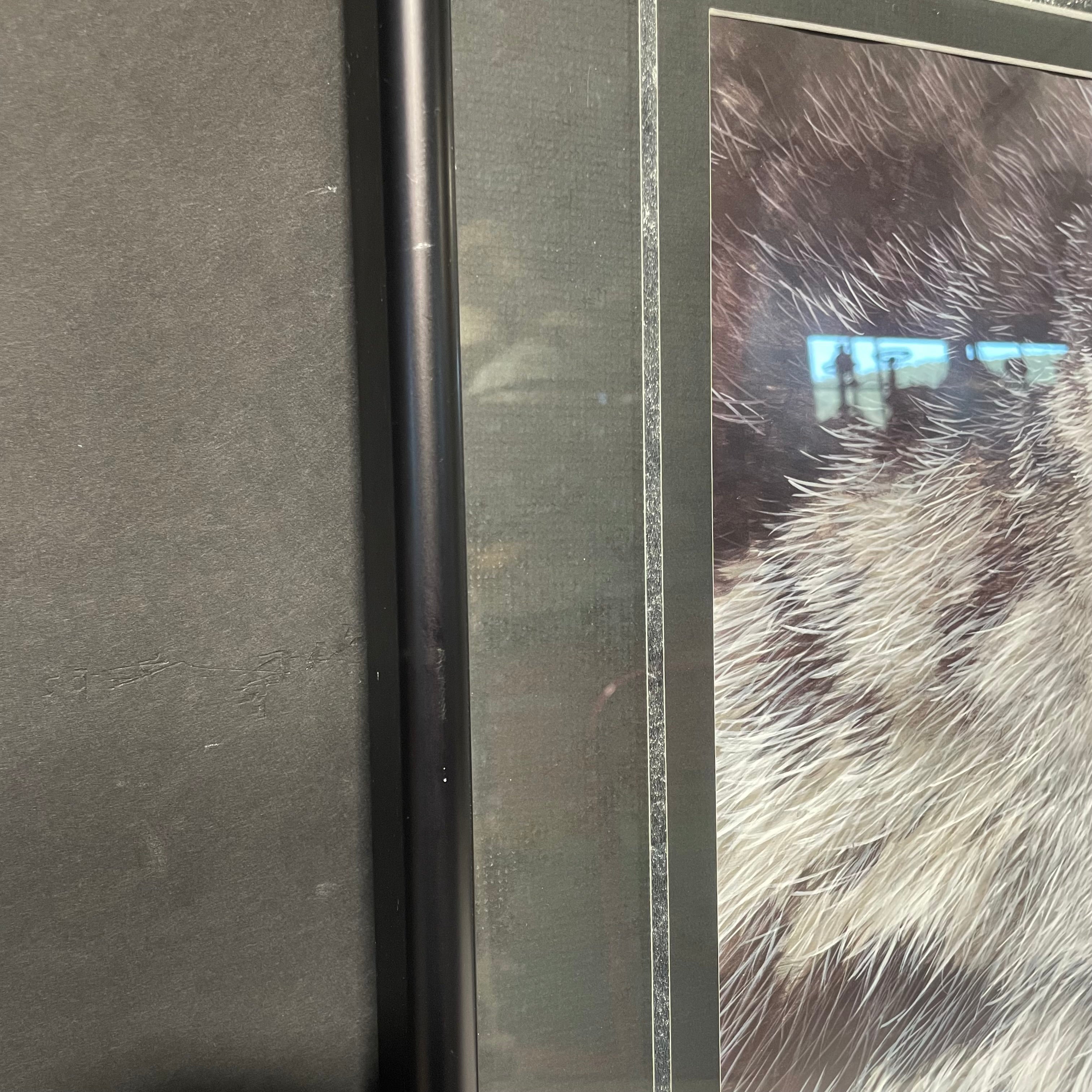 Jon Van Zyle Signed "Better To See You With My Dear, 1986" Wolf Print In A Black Frame 28" x 18"