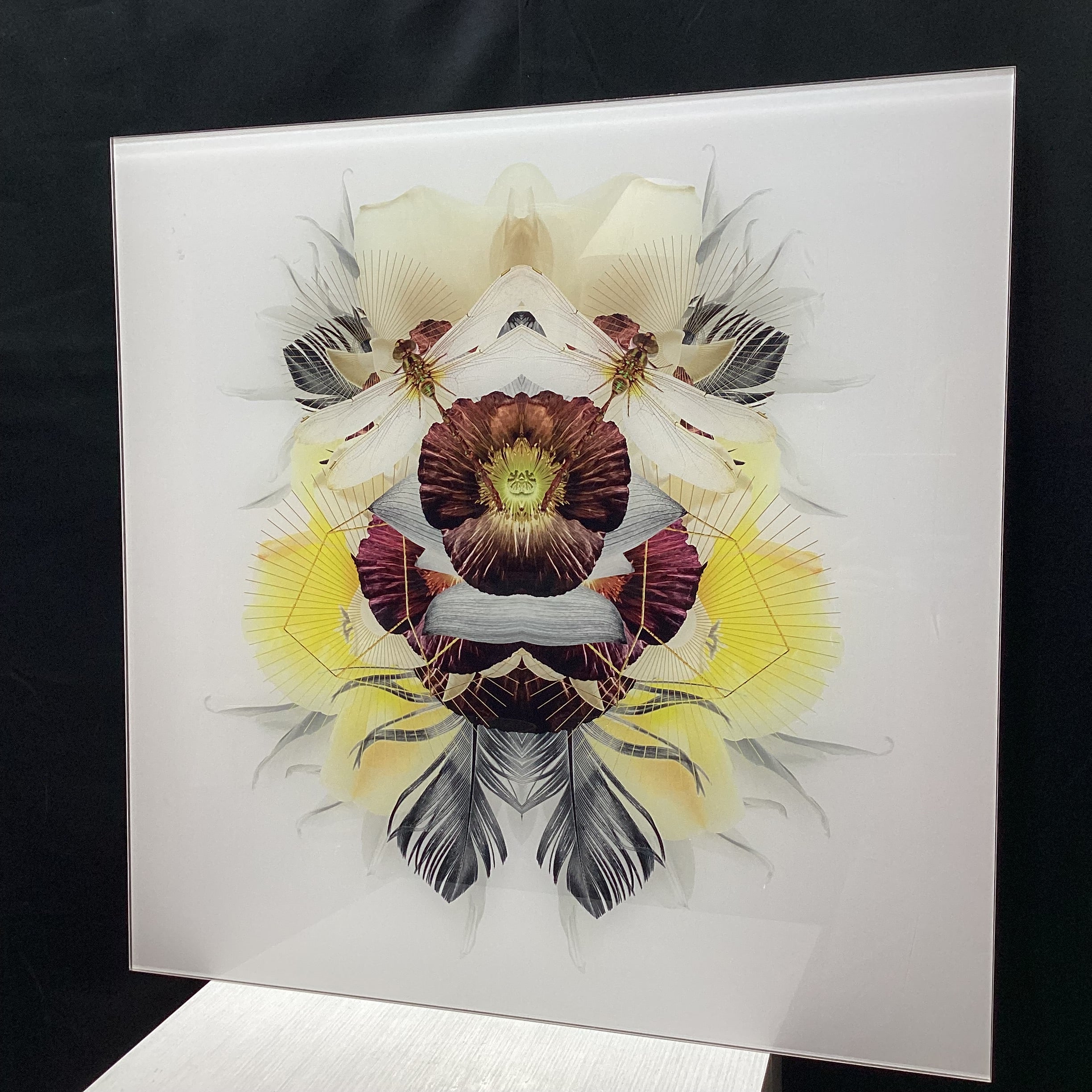 Symmetrical Dragonfly/Nature Photograph Print With Gold Geometric Details 30" x 30"
