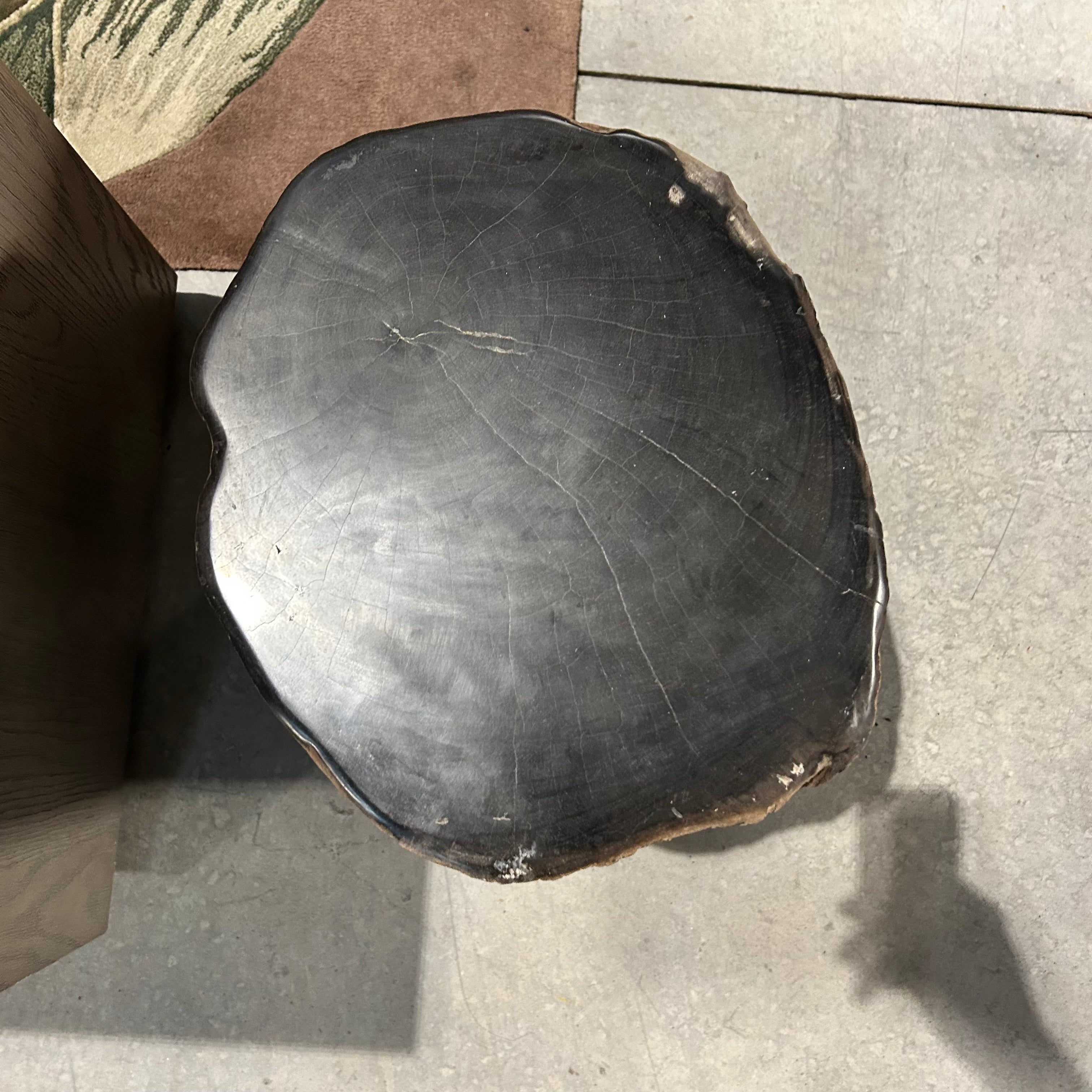 One Of A KindTan And Black Polished Petrified Wood 16"x 13"x 19"