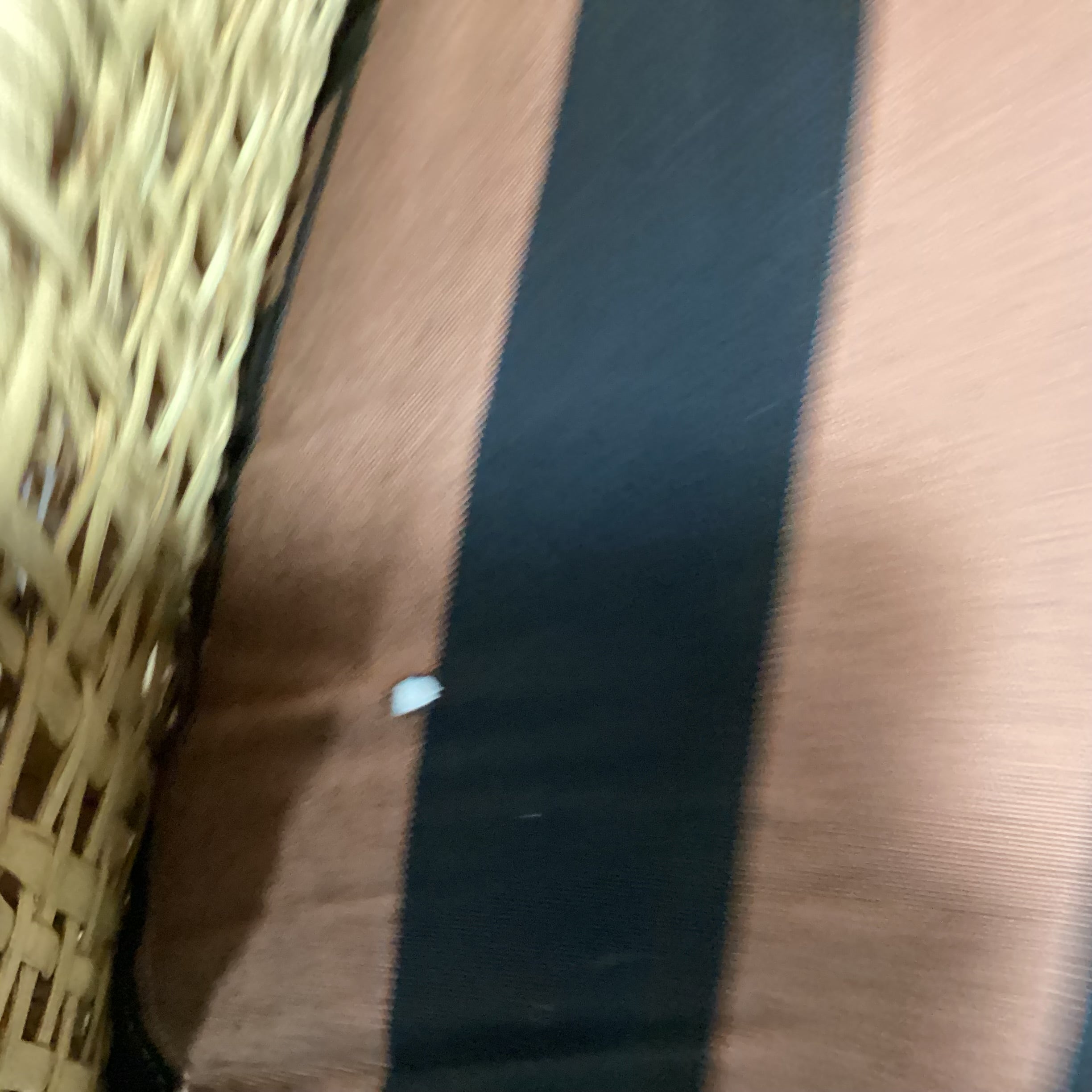 Rattan Wicker & Black Brown Stripe Down Cushions Chair 36"x 31"x 34"Chair