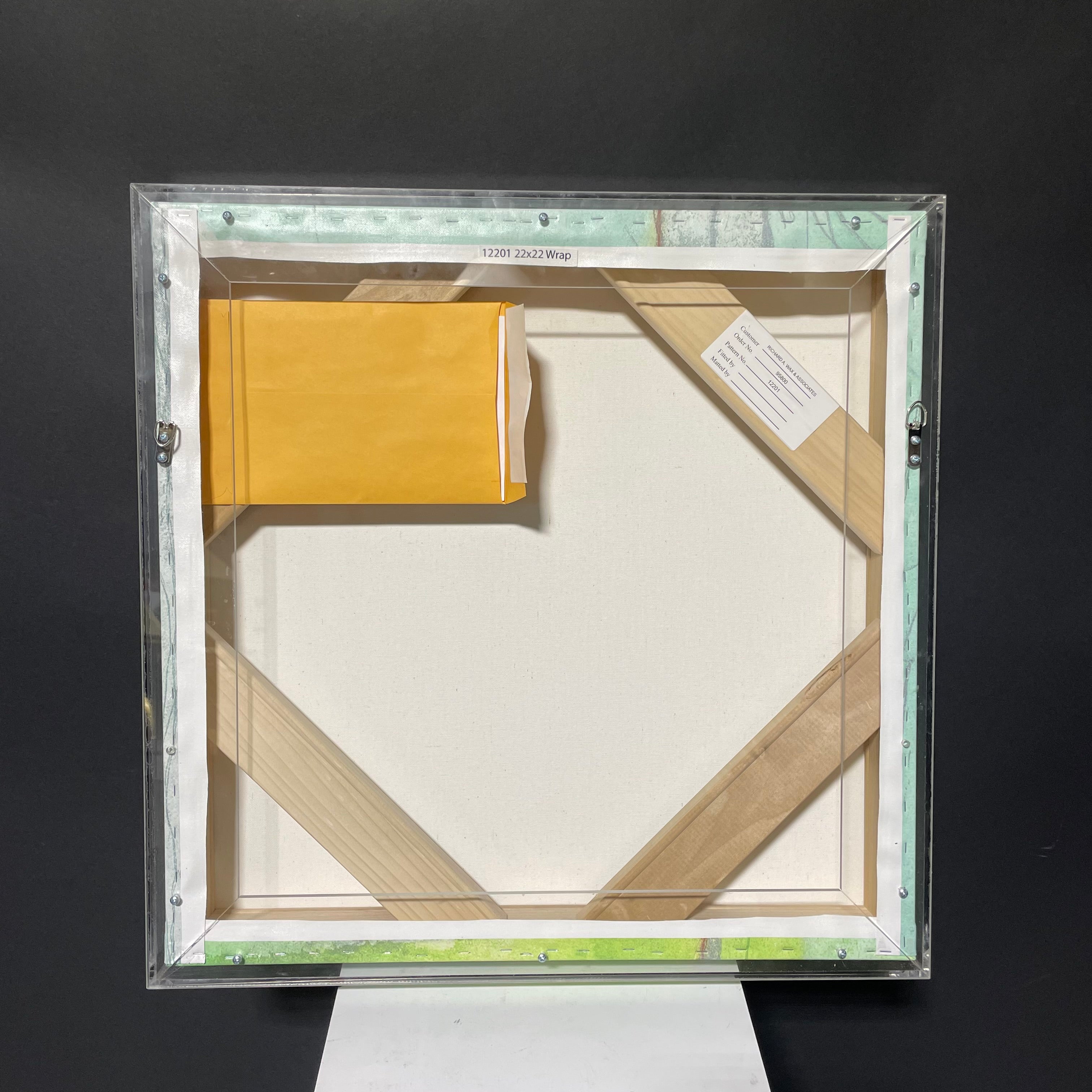 R. Jones Signed Limited Edition "Aurellio" Canvas Print In Acrylic Frame With Authentication 23" x 23"