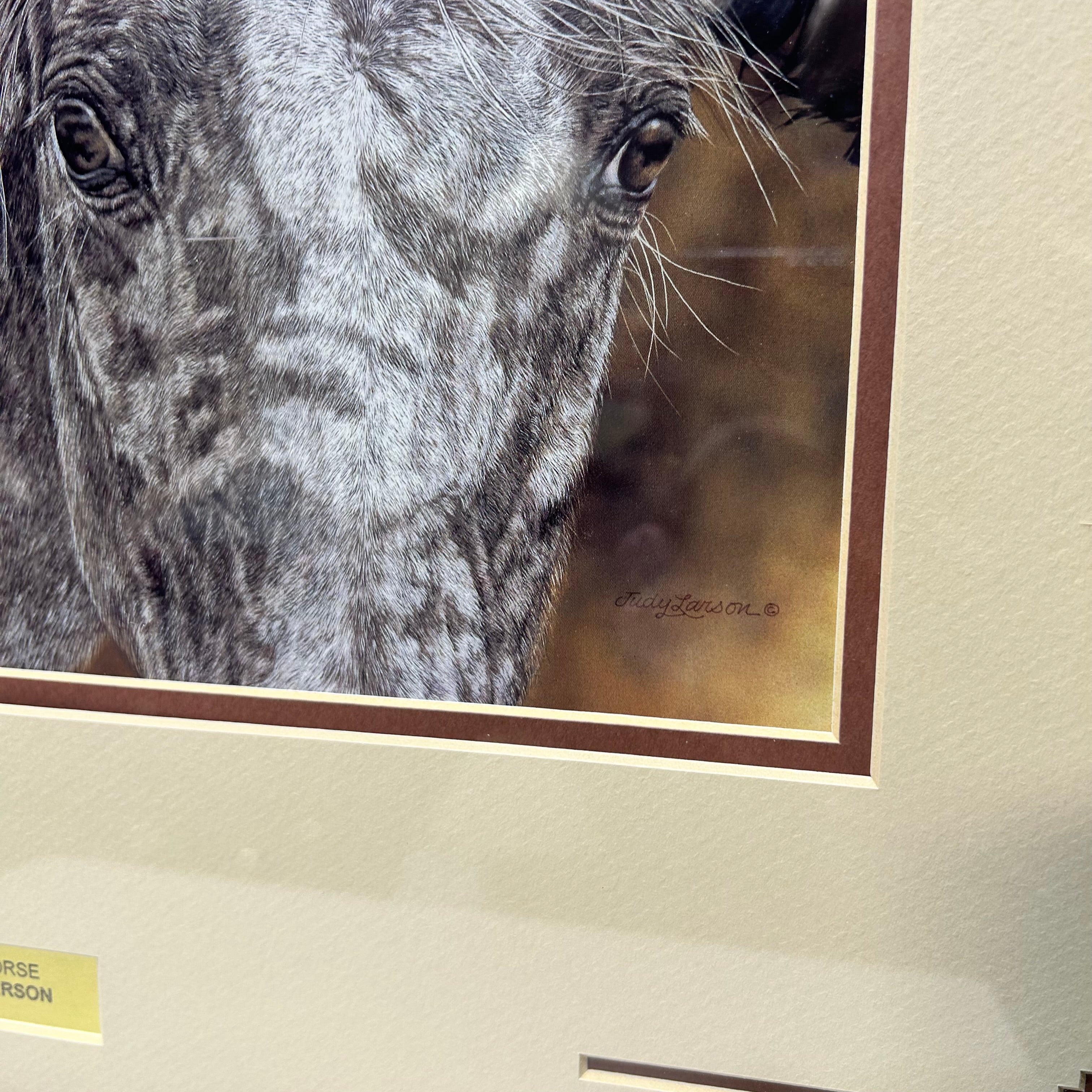Judy Larson "Red Horse" Print 23"x 19"