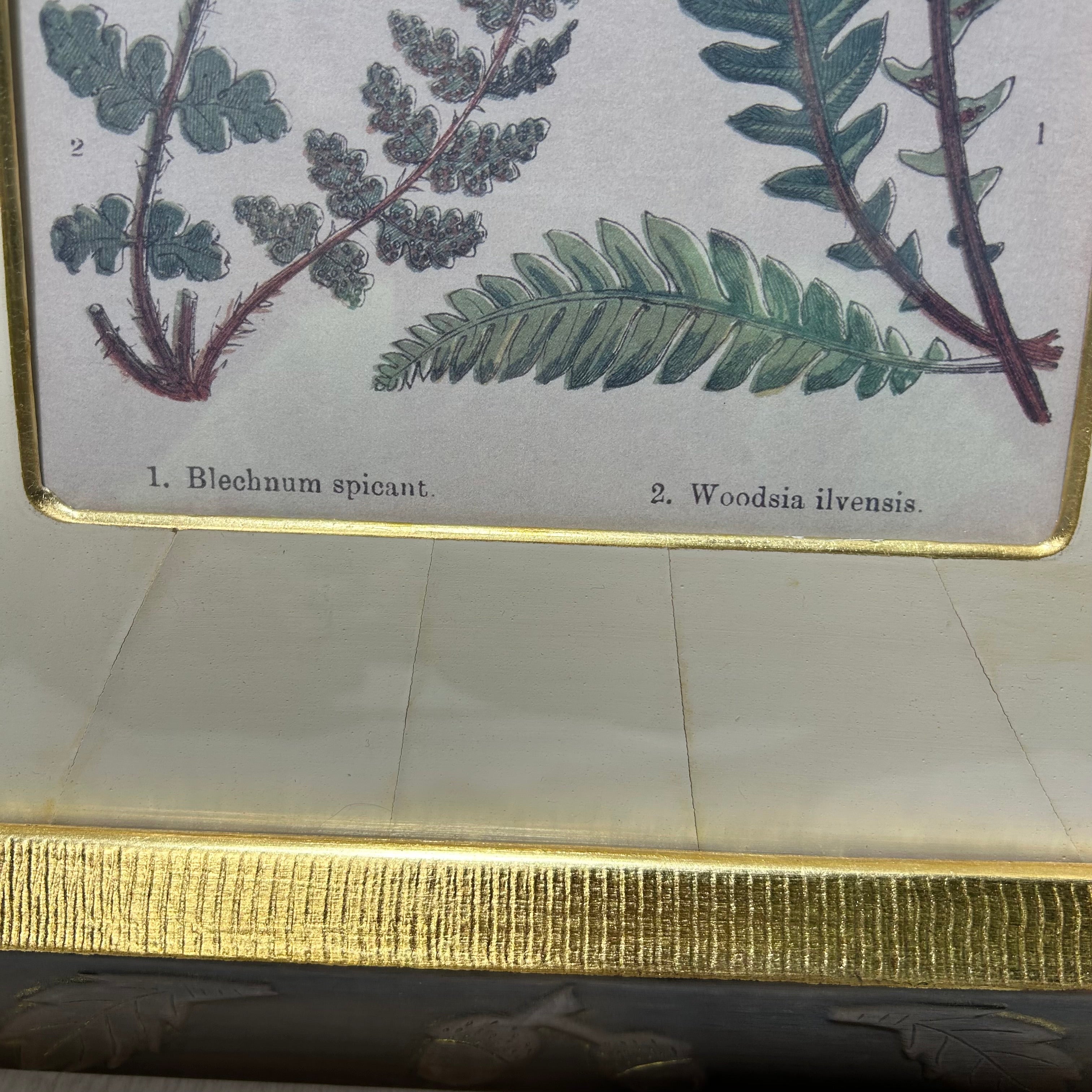 Botanical Fern Print With Gold & Copper Oak Leaf Frame 14.5"x 19"