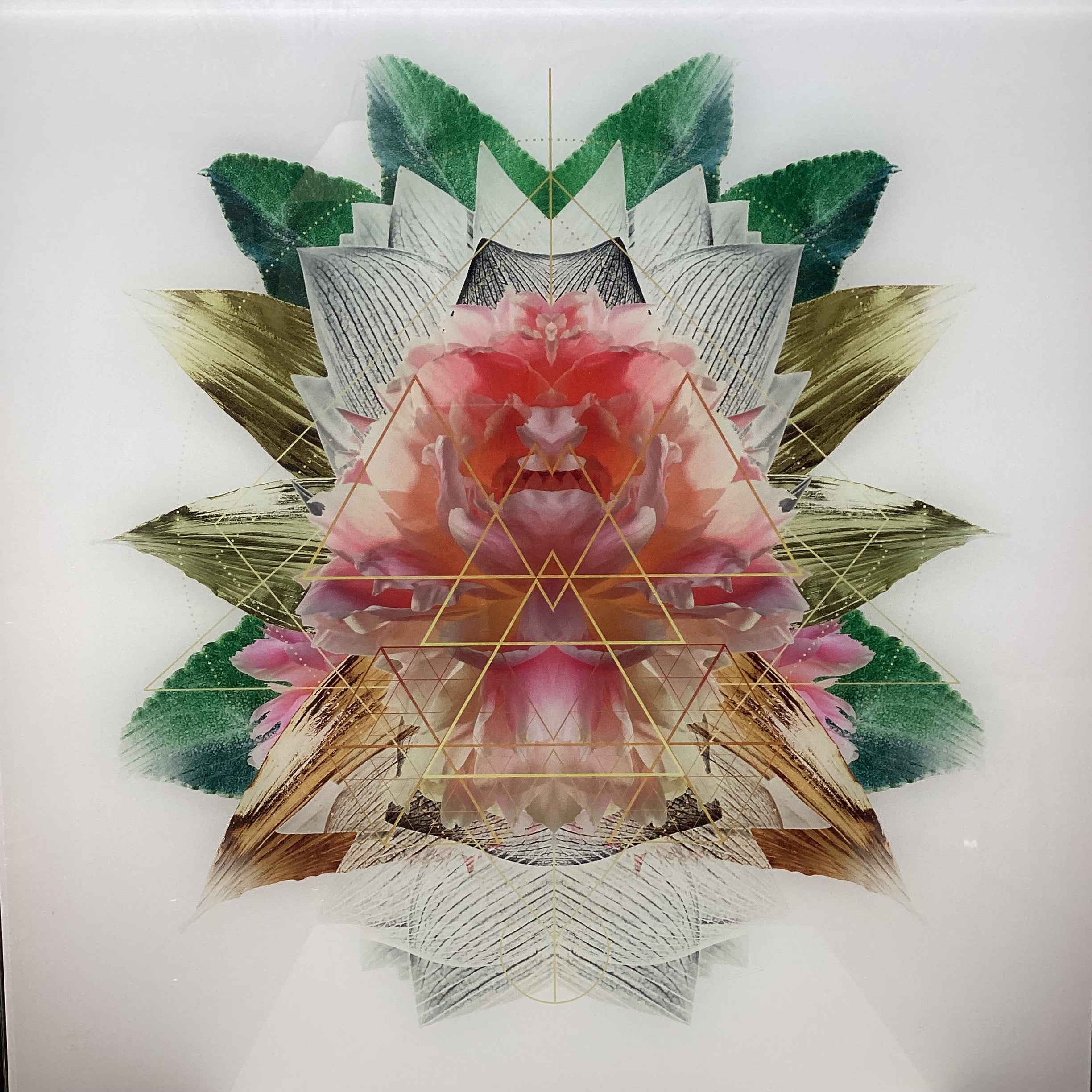 Symmetrical Flower/Nature Photograph Print With Gold Detailing 30" x 30"