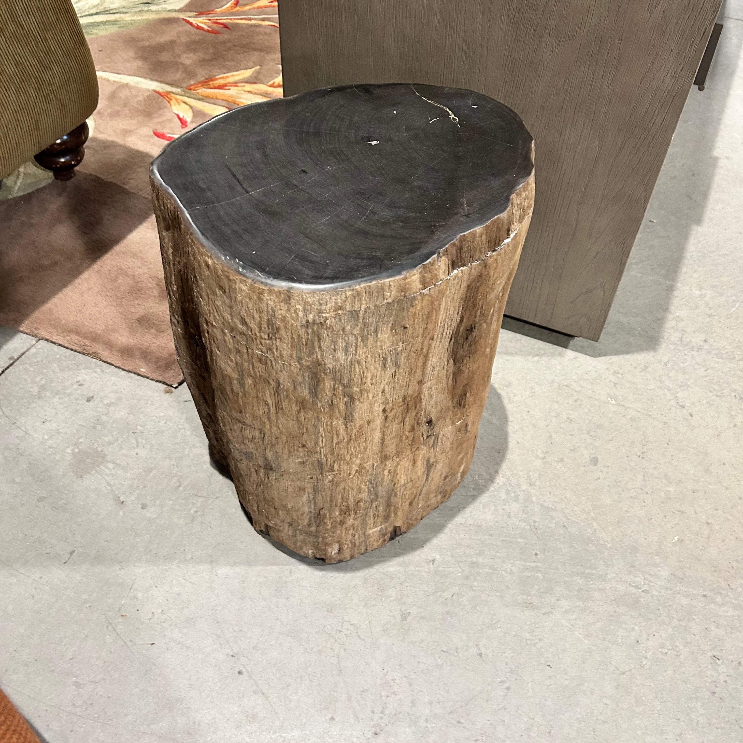 One Of A KindTan And Black Polished Petrified Wood 15"x 12"x 19"