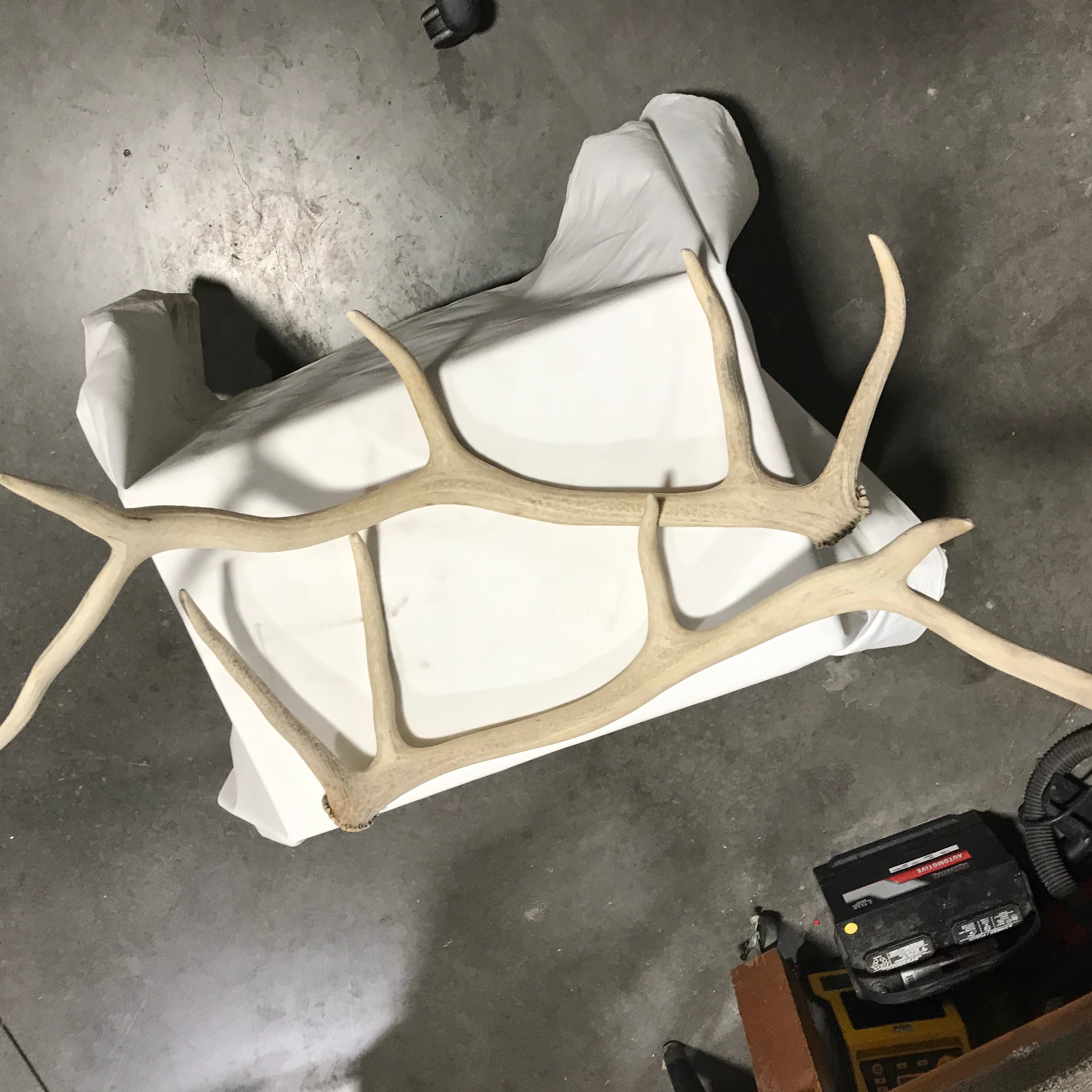 Authentic Rocky Mountain Elk Sheds