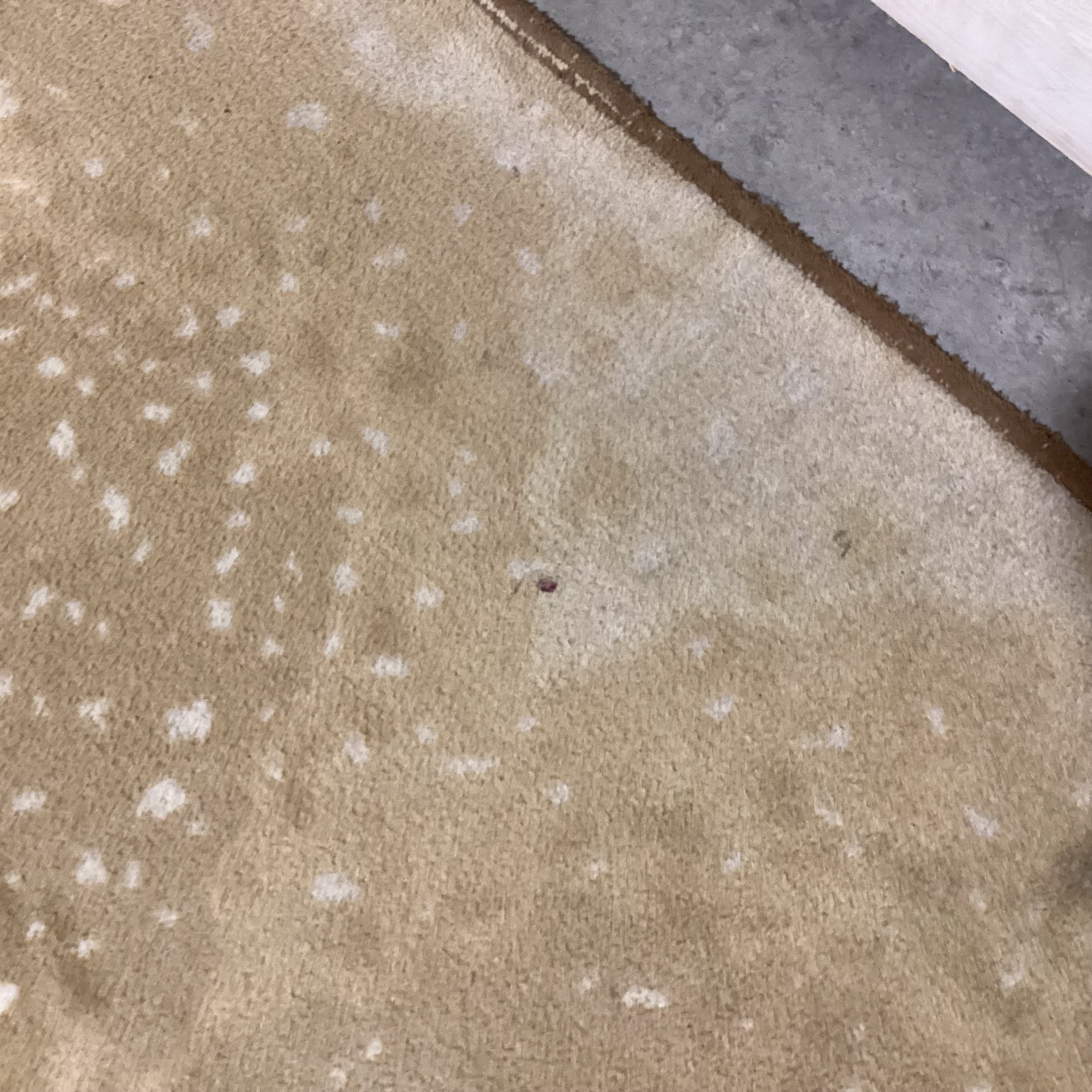 Axis Deer Style Custom Finished Carpet Rug 12'x 16'