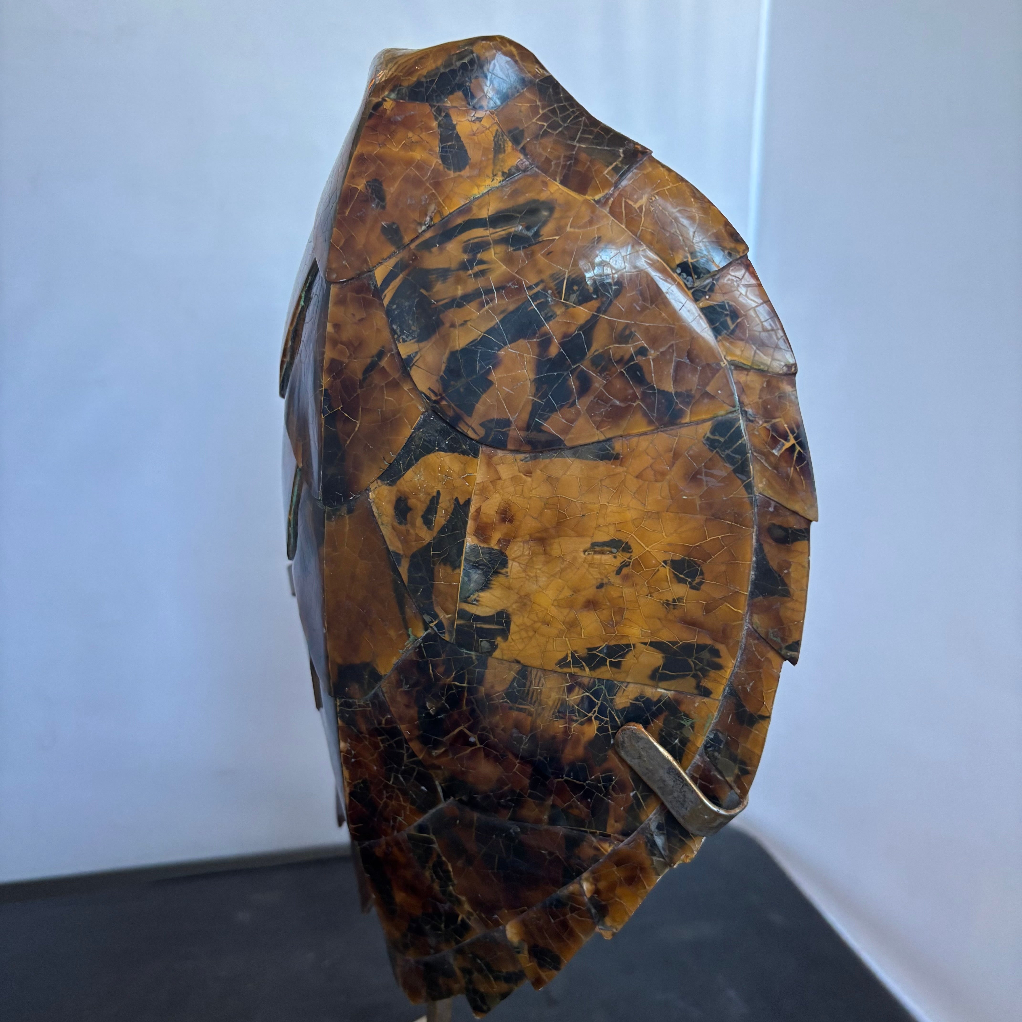 Decorative Detailed Faux Turtle Shell on Metal Stand, 8" x 17"