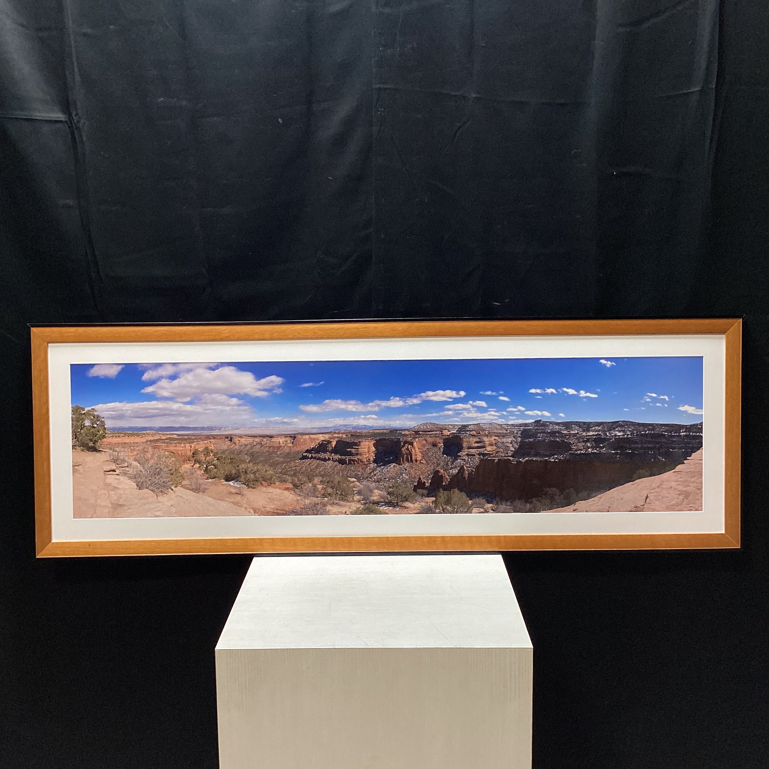 Panoramic Canyon Photograph In TruGuard Frame 58" x 19"