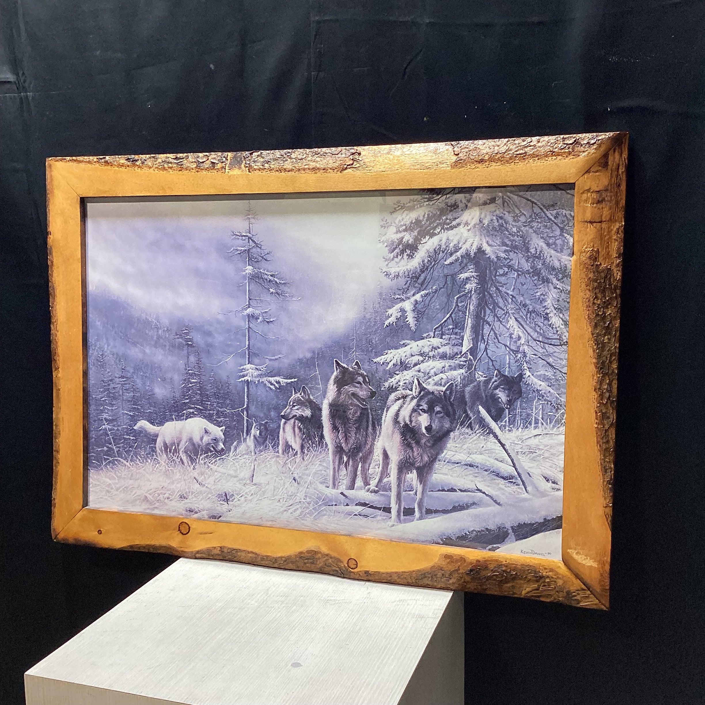 Kevin Daniel "Search For Survival" Print In Natural Wood Frame 41" x 21"