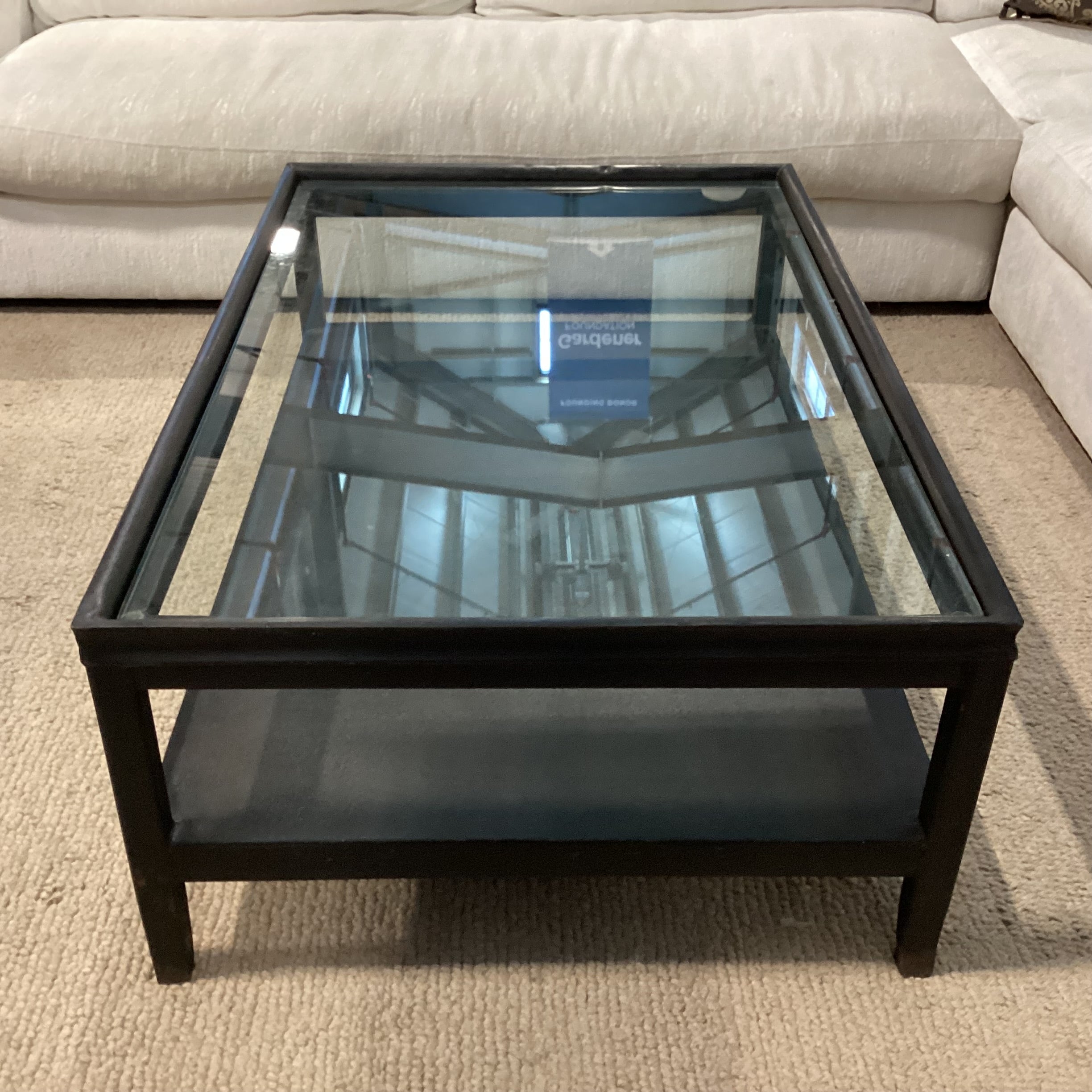 Industrial Modern Black Textured Iron & Glass 2 Tiered Coffee Table 48"x 32"x 18.5"