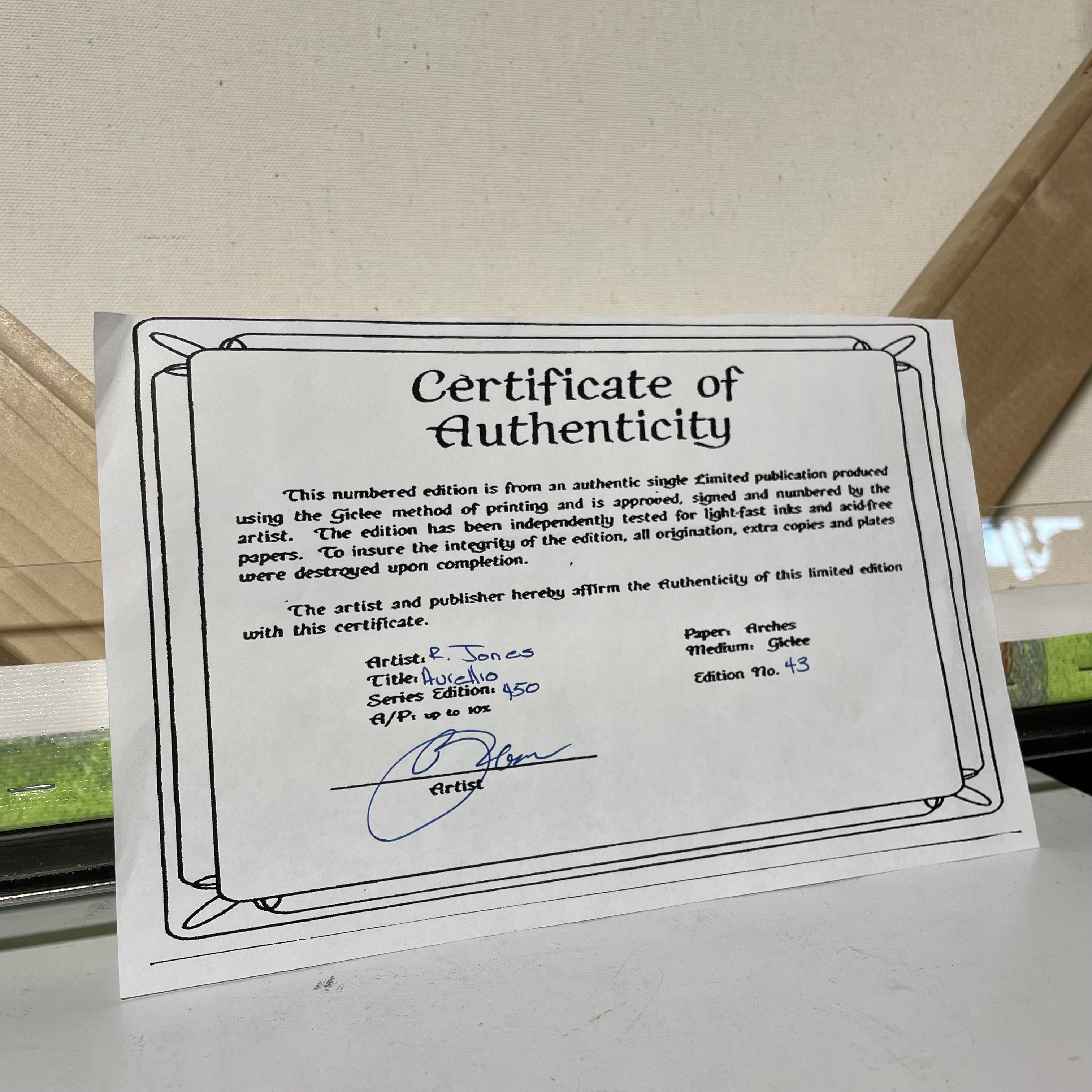 R. Jones Signed Limited Edition "Aurellio" Canvas Print In Acrylic Frame With Authentication 23" x 23"