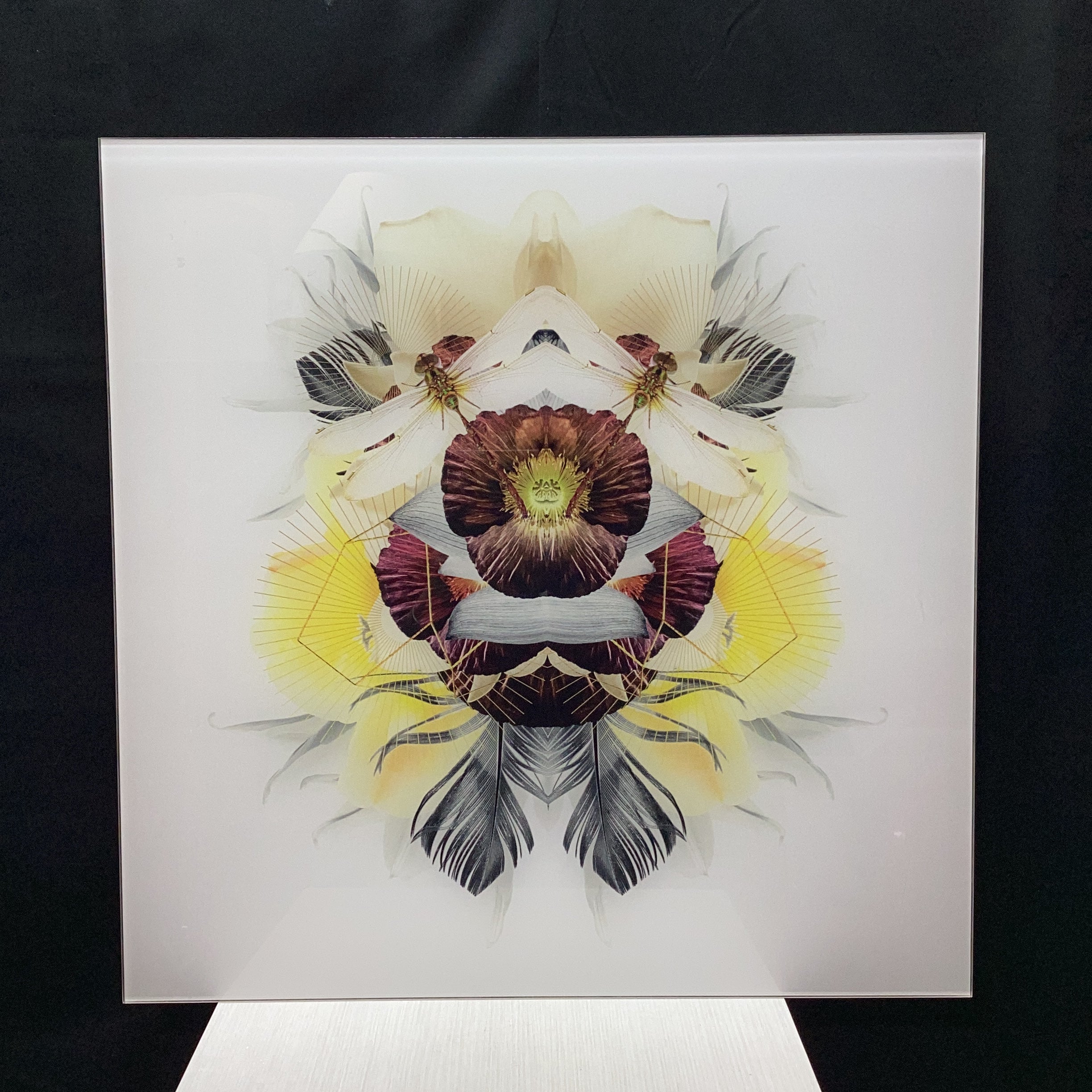 Symmetrical Dragonfly/Nature Photograph Print With Gold Geometric Details 30" x 30"