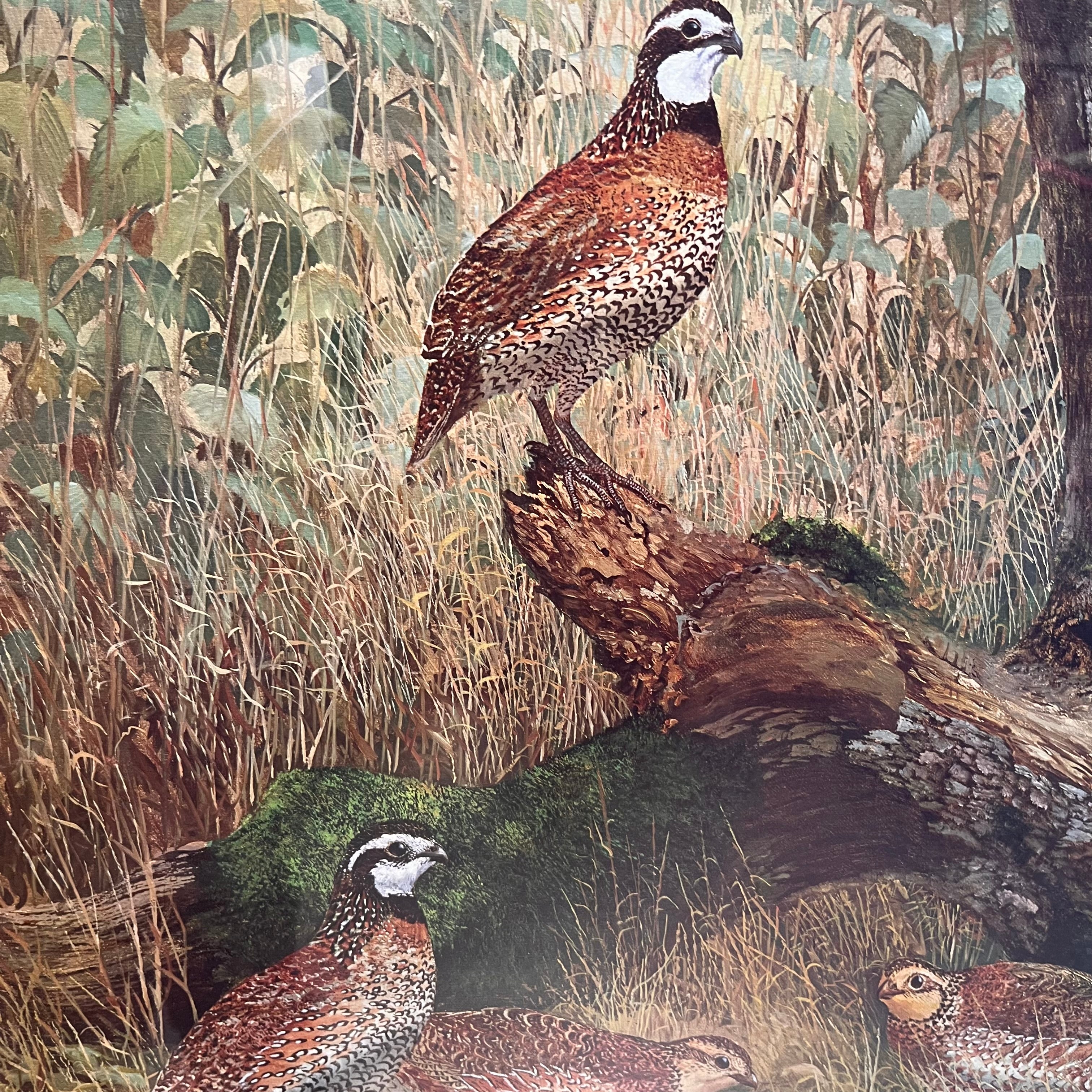 Travis Keese Quail Print on Paper Wall Decor; 38"x 32"