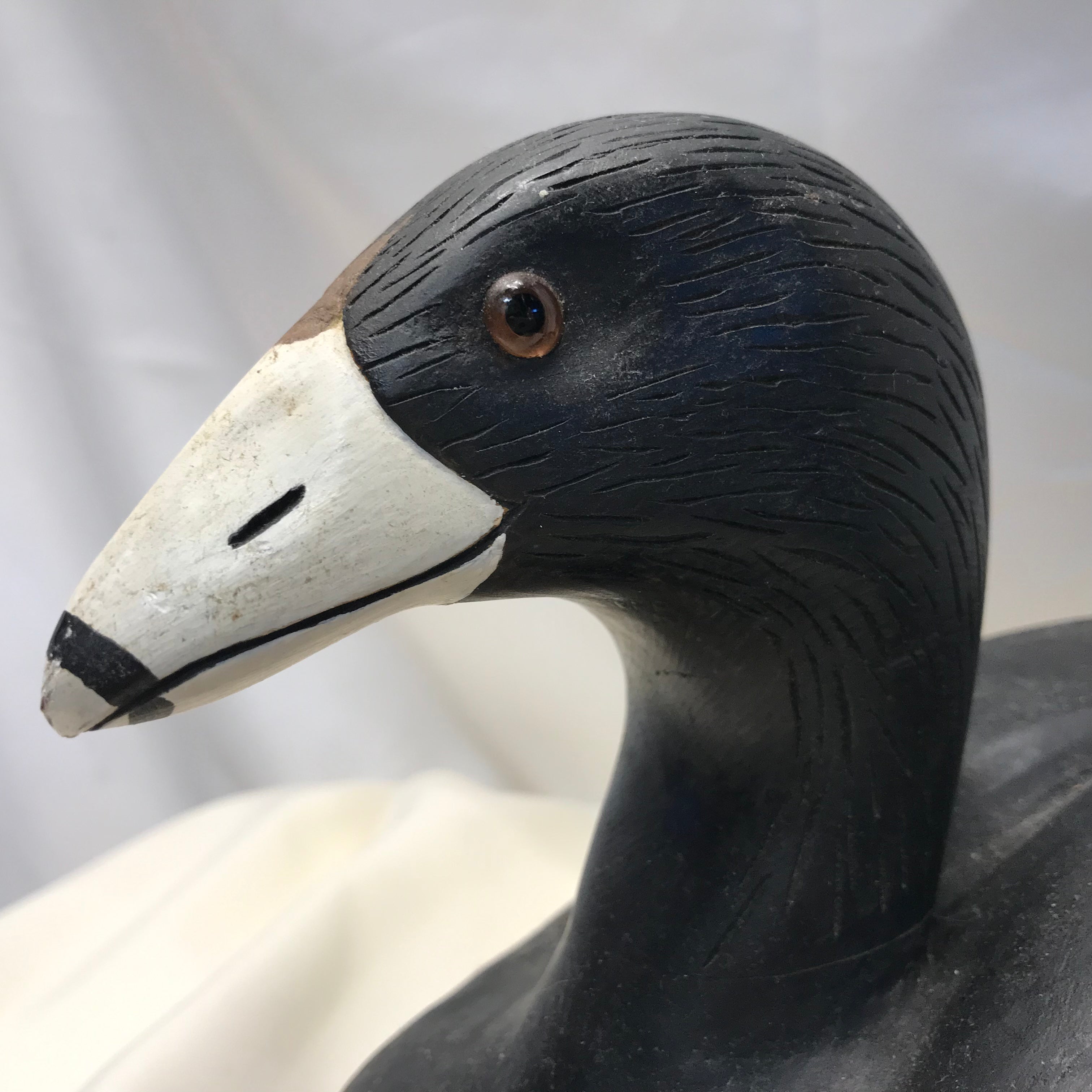 Vintage Coot Duck Decoy