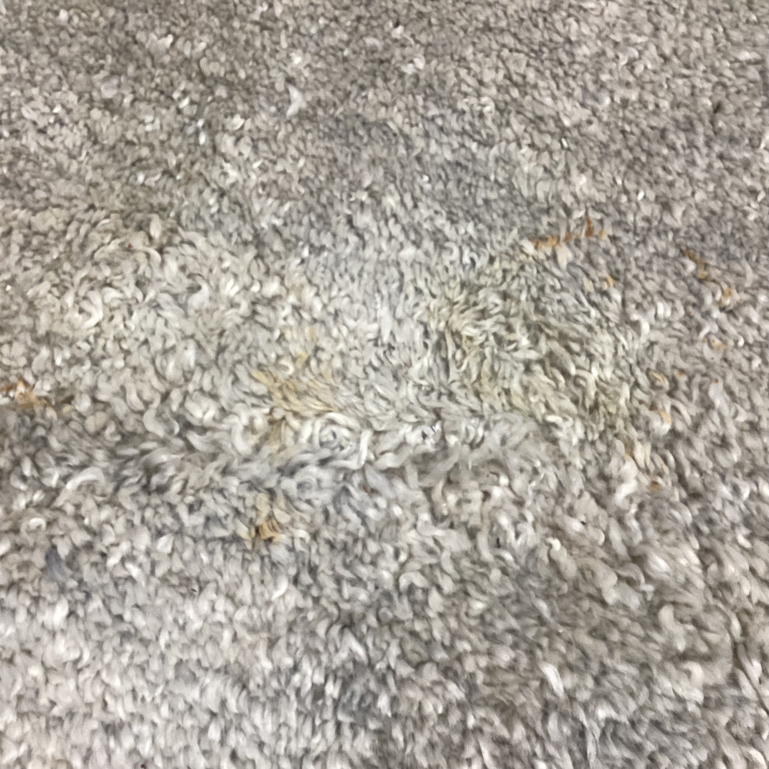 Gold & Grey Woven Wool Rug 10'x 10'4"