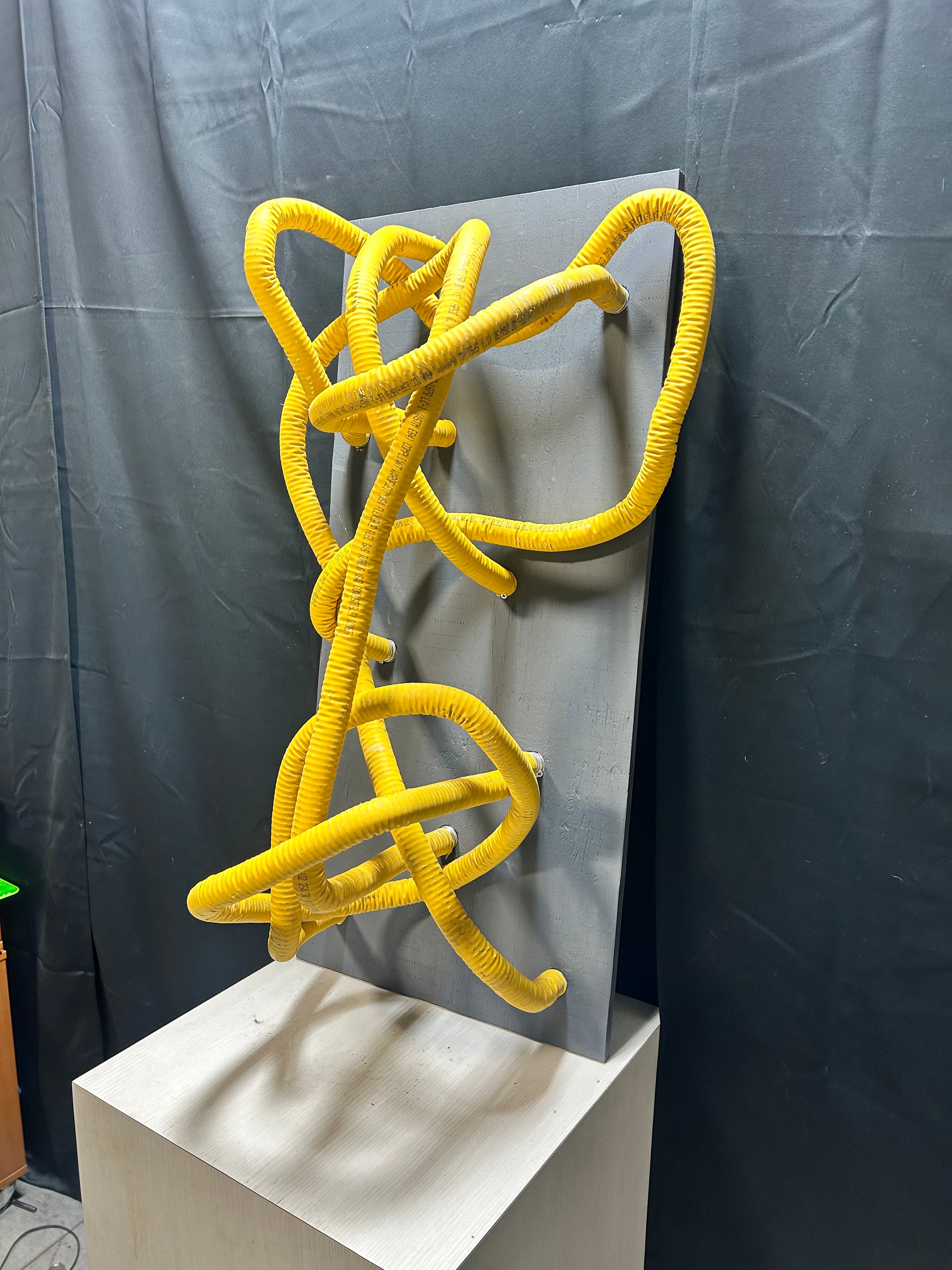 Art Work From Our Repurpose Reuse Recycle Dept, Called "Confusion" 18.5"x 40"