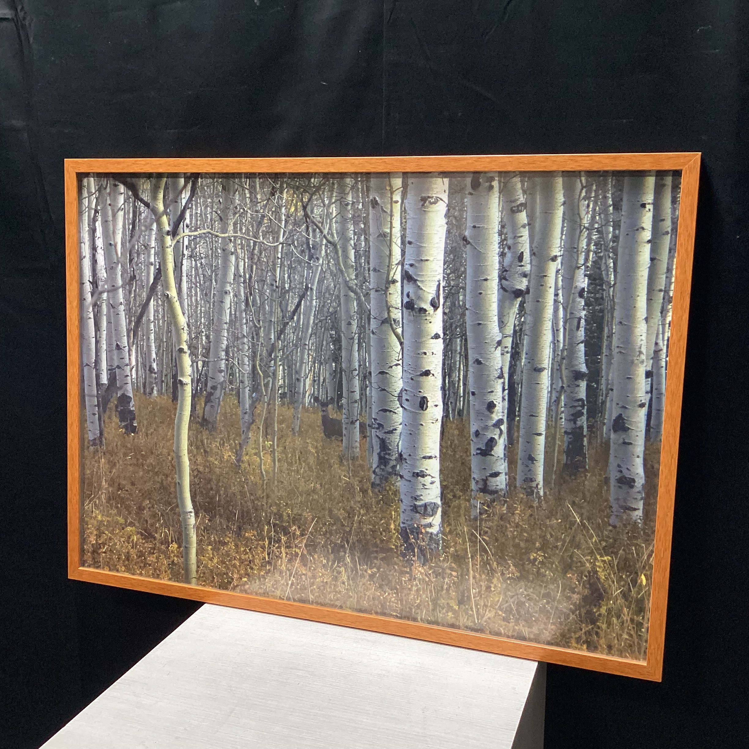 Forest Photograph With Deer In Wooden Frame 36" x 26"